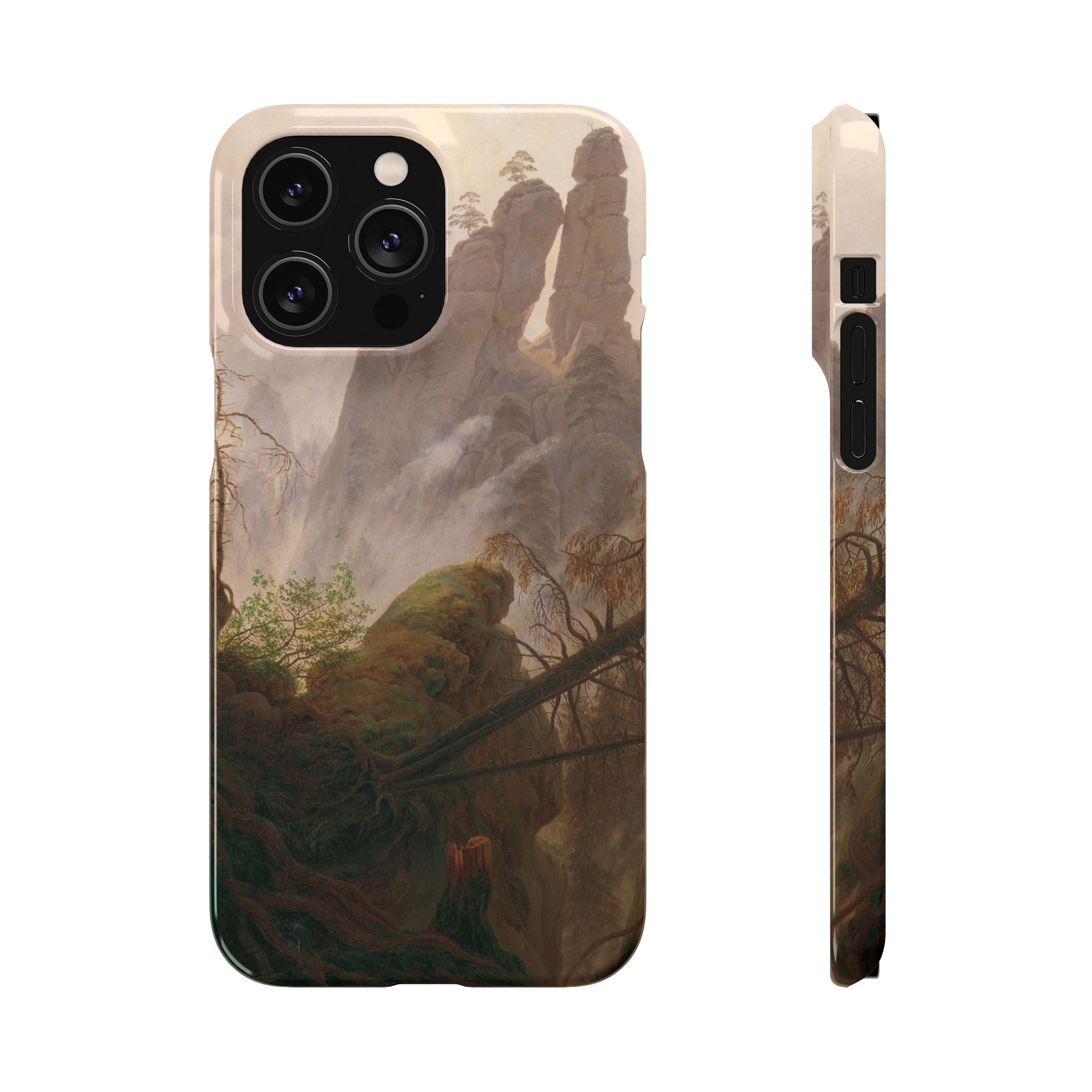 Rocky Landscape in the Elbe Sandstone Mountains by Caspar David Friedrich - iPhone Slim Case