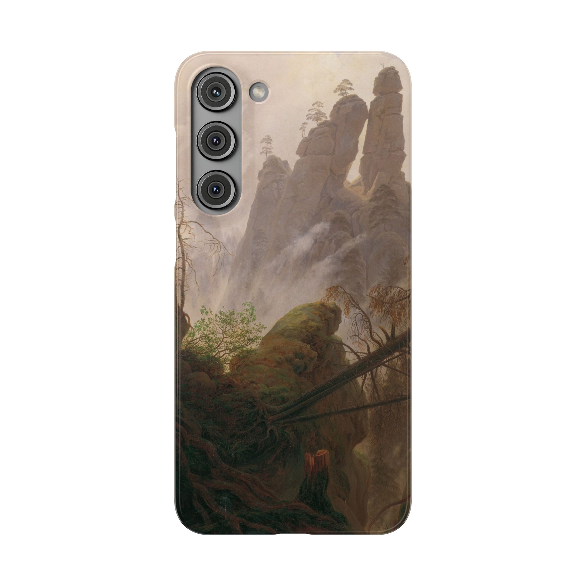 Rocky Landscape in the Elbe Sandstone Mountains by Caspar David Friedrich - Samsung Slim Case