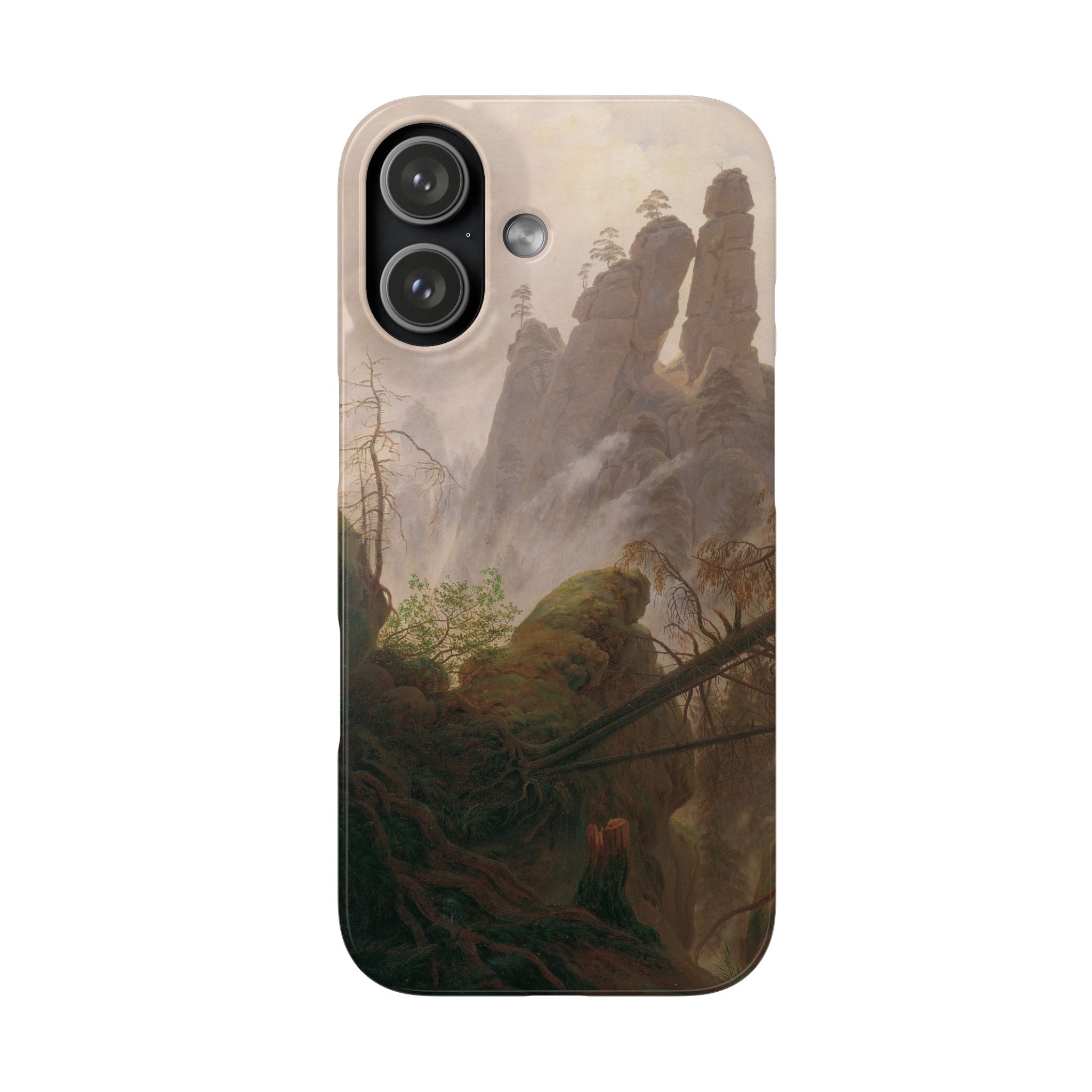 Rocky Landscape in the Elbe Sandstone Mountains by Caspar David Friedrich - iPhone Slim Case