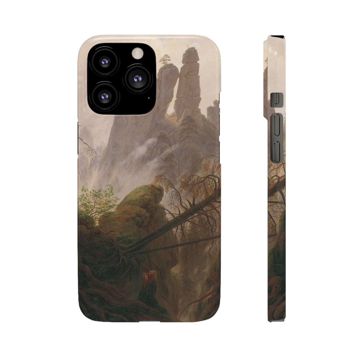 Rocky Landscape in the Elbe Sandstone Mountains by Caspar David Friedrich - iPhone Slim Case