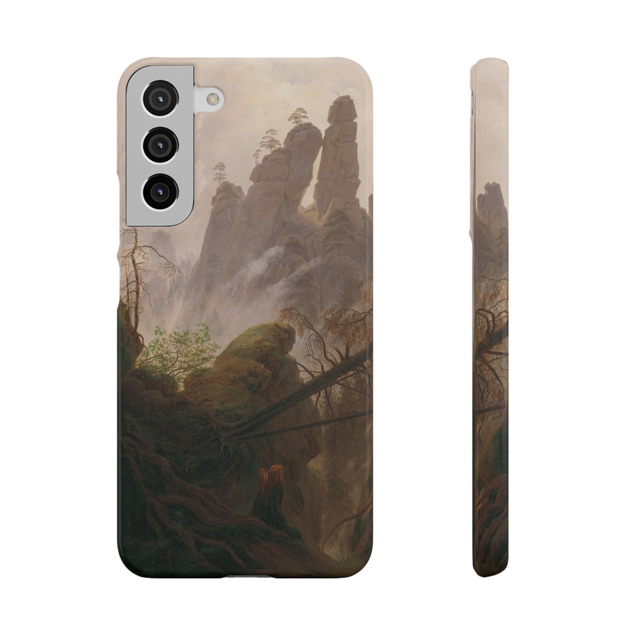 Rocky Landscape in the Elbe Sandstone Mountains by Caspar David Friedrich - Samsung Slim Case