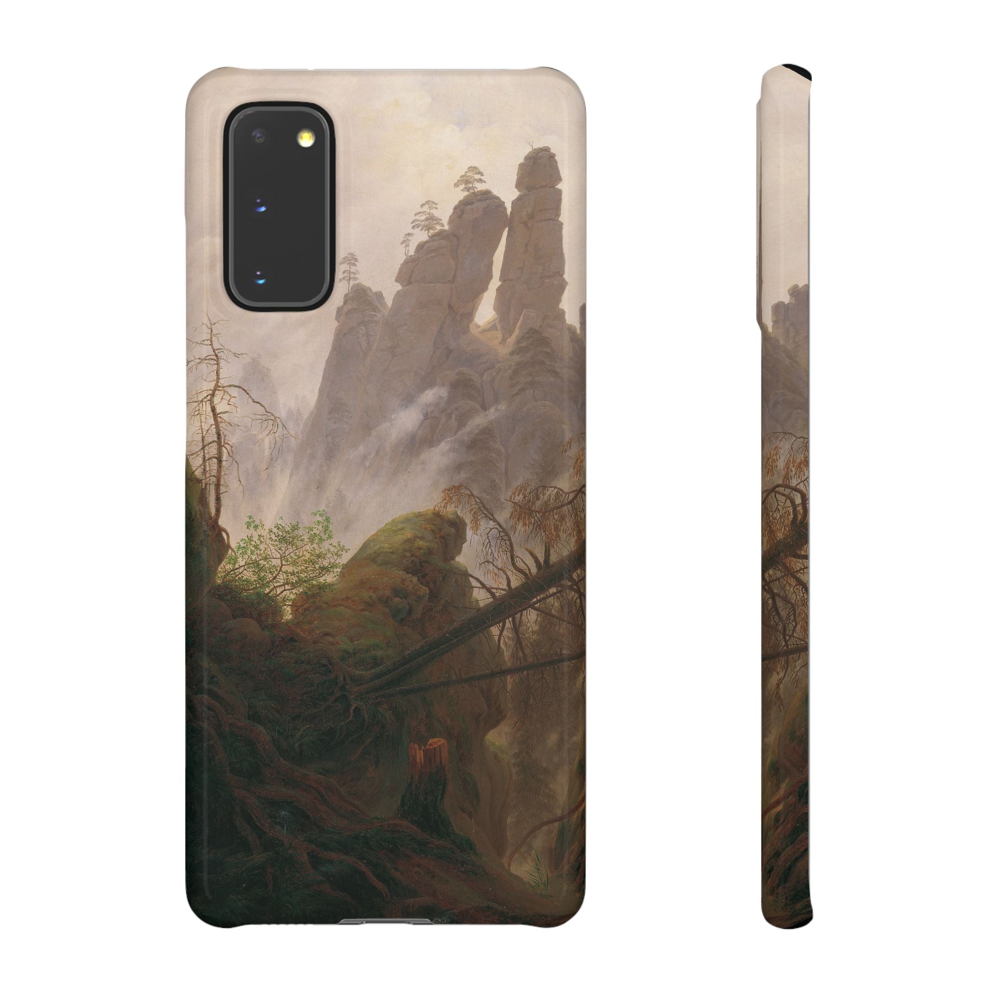 Rocky Landscape in the Elbe Sandstone Mountains by Caspar David Friedrich - Samsung Slim Case