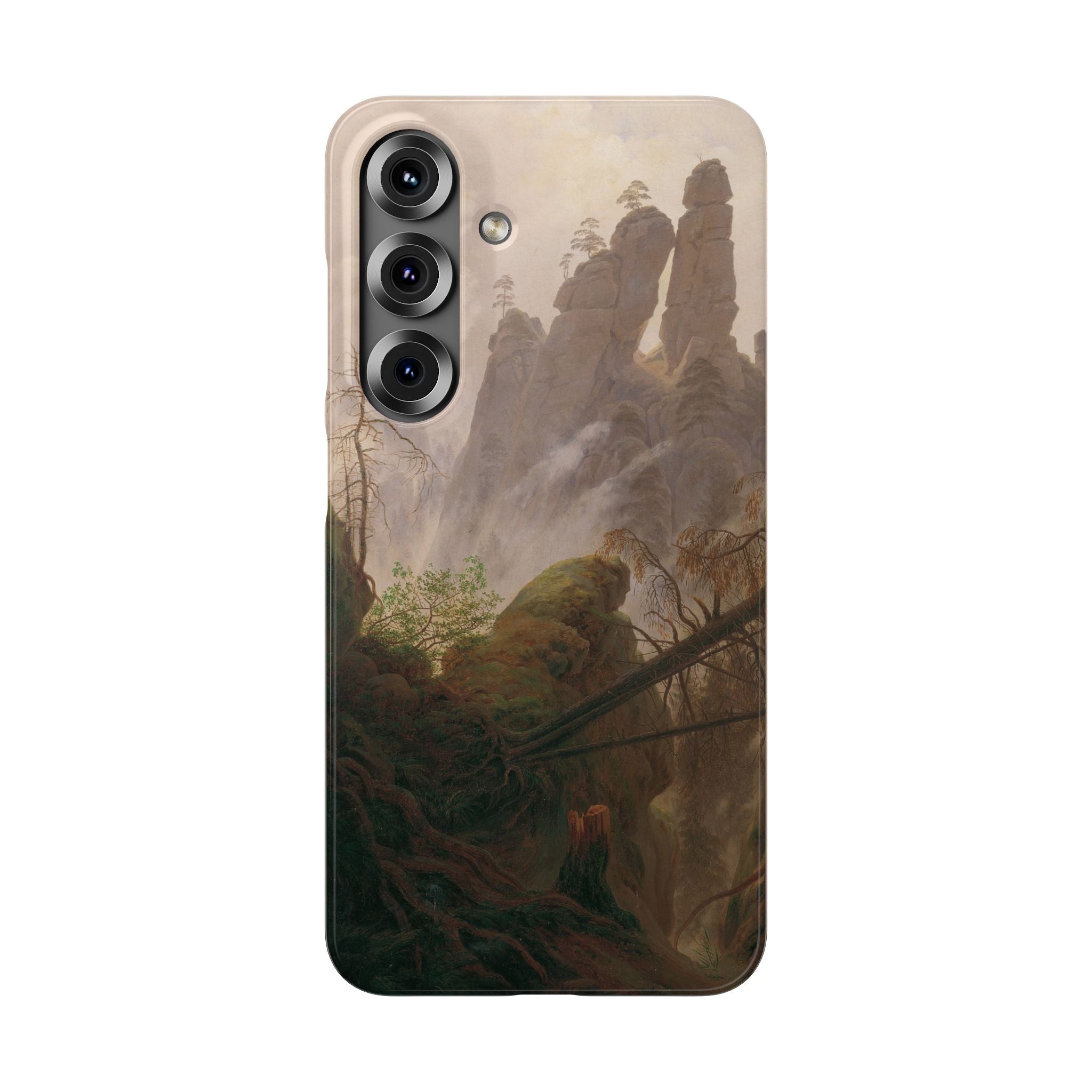 Rocky Landscape in the Elbe Sandstone Mountains by Caspar David Friedrich - Samsung Slim Case
