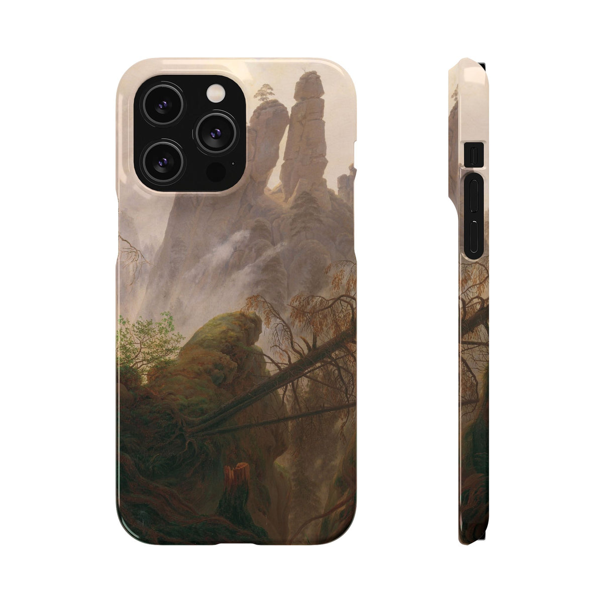 Rocky Landscape in the Elbe Sandstone Mountains by Caspar David Friedrich - iPhone Slim Case