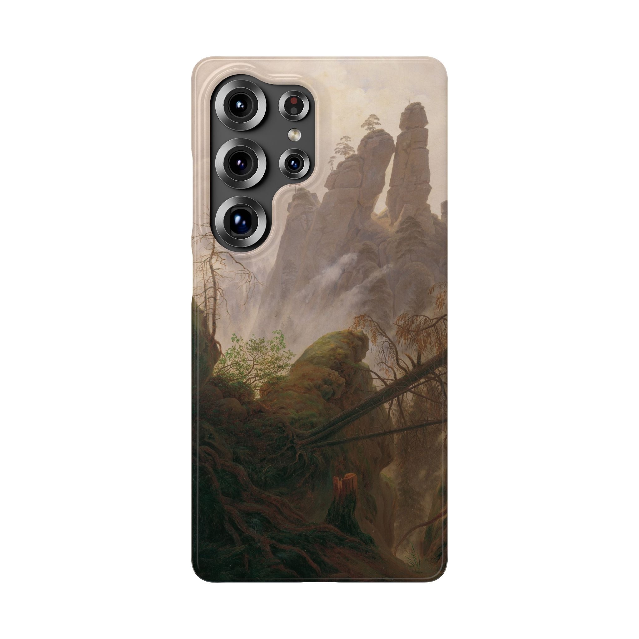 Rocky Landscape in the Elbe Sandstone Mountains by Caspar David Friedrich - Samsung Slim Case