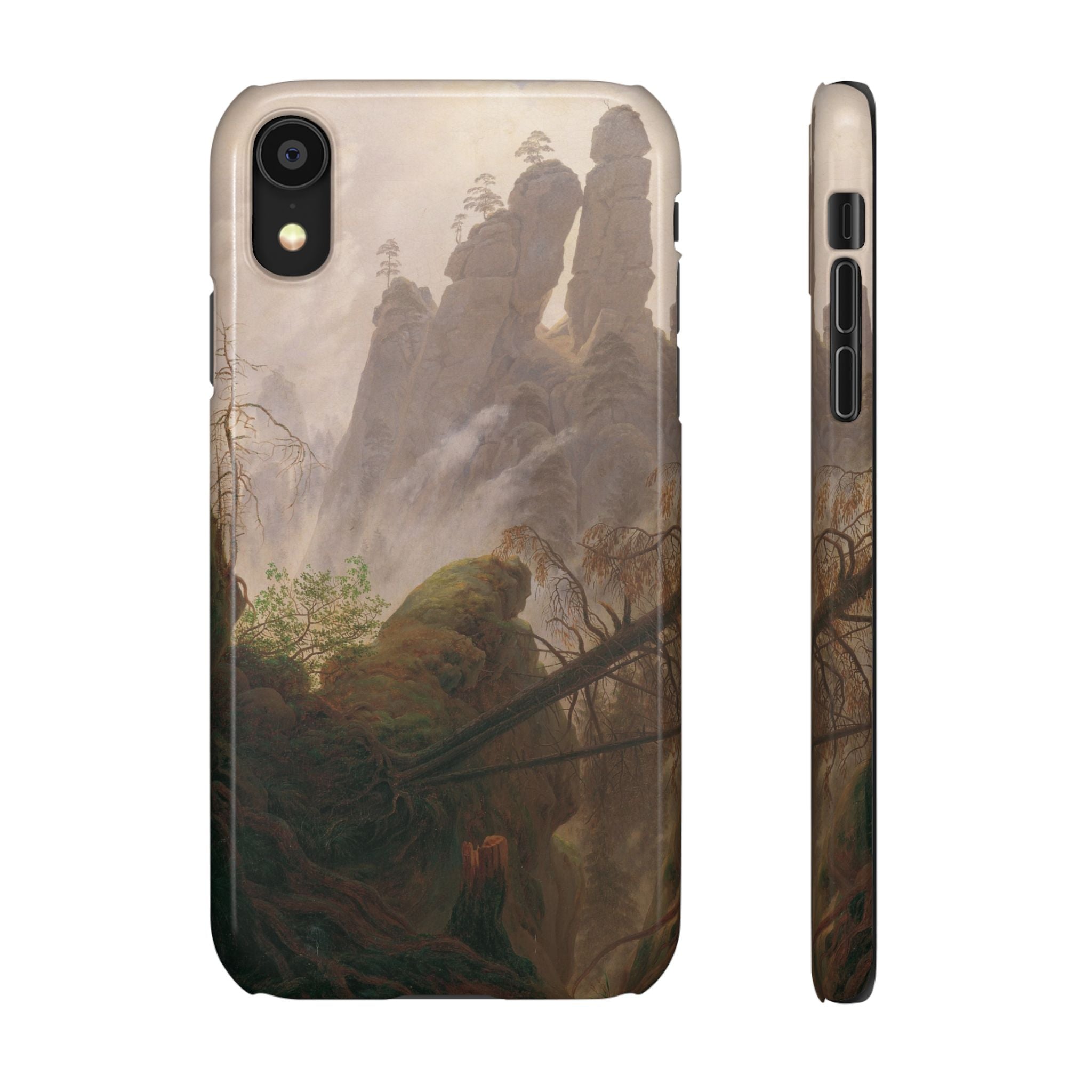 Rocky Landscape in the Elbe Sandstone Mountains by Caspar David Friedrich - iPhone Slim Case