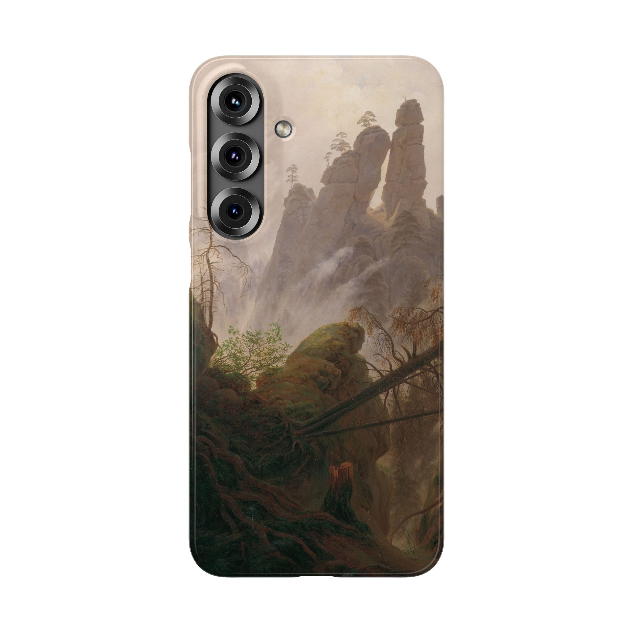Rocky Landscape in the Elbe Sandstone Mountains by Caspar David Friedrich - Samsung Slim Case