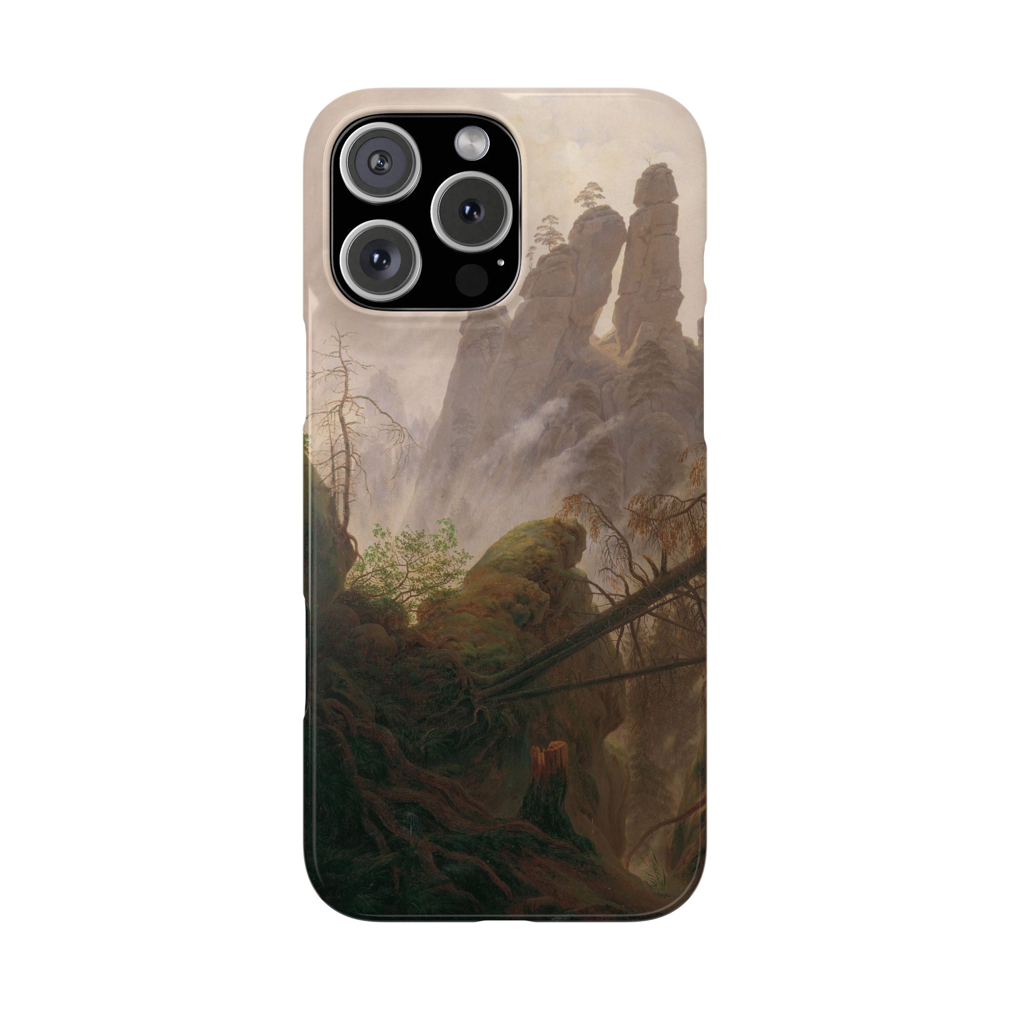 Rocky Landscape in the Elbe Sandstone Mountains by Caspar David Friedrich - iPhone Slim Case