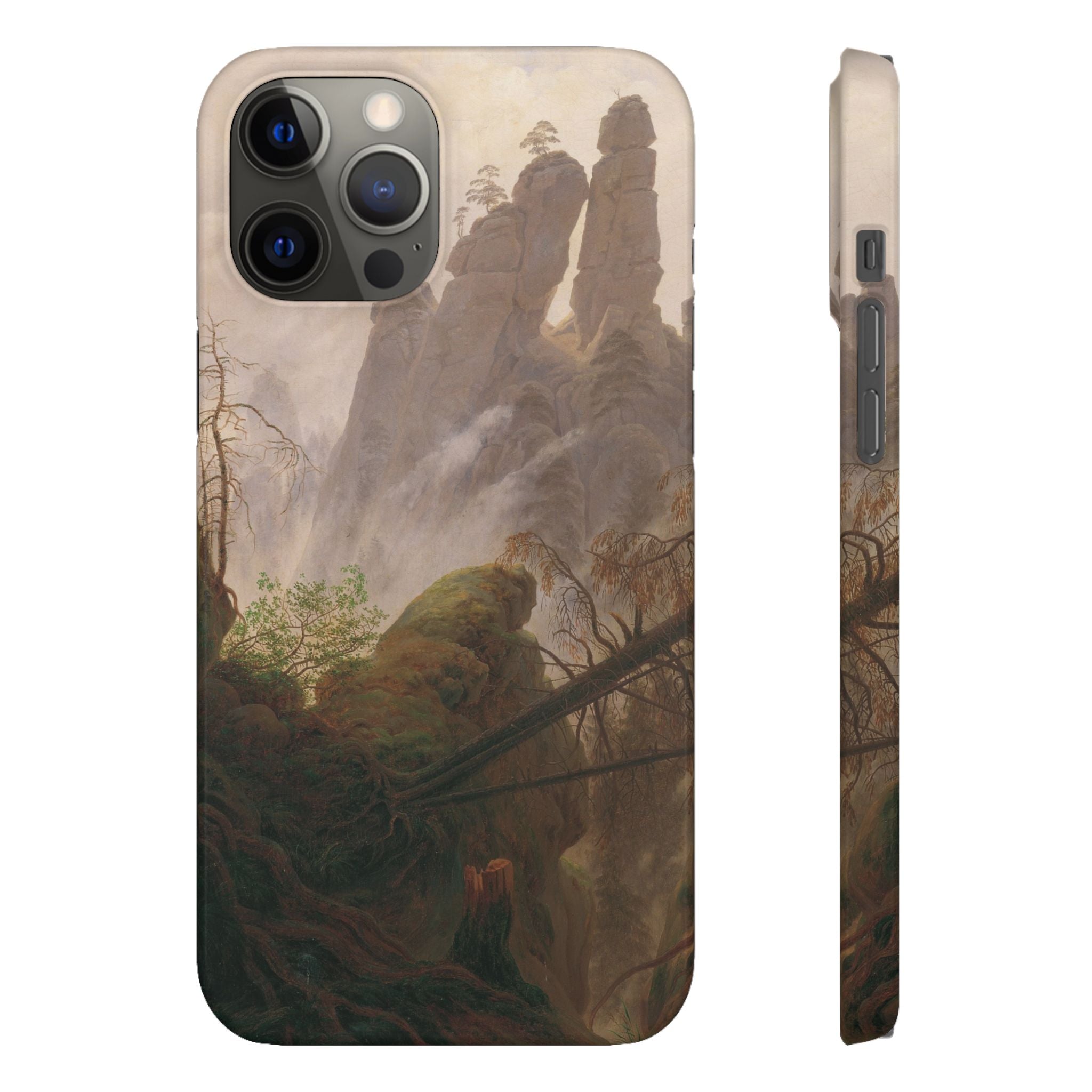 Rocky Landscape in the Elbe Sandstone Mountains by Caspar David Friedrich - iPhone Slim Case