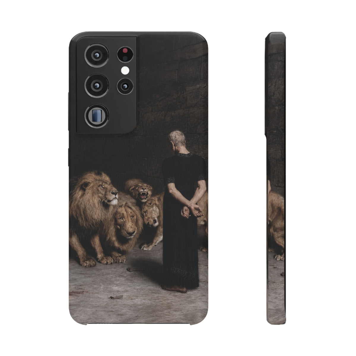 Daniel in the Lion's Den by Briton Riviere - Samsung Slim Case