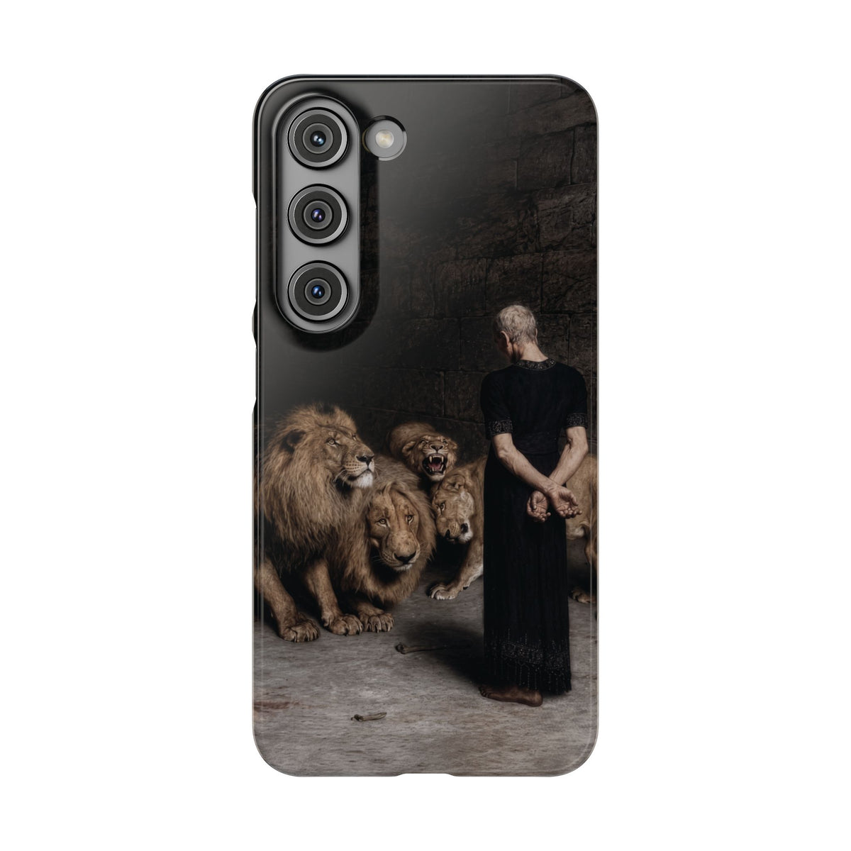 Daniel in the Lion's Den by Briton Riviere - Samsung Slim Case