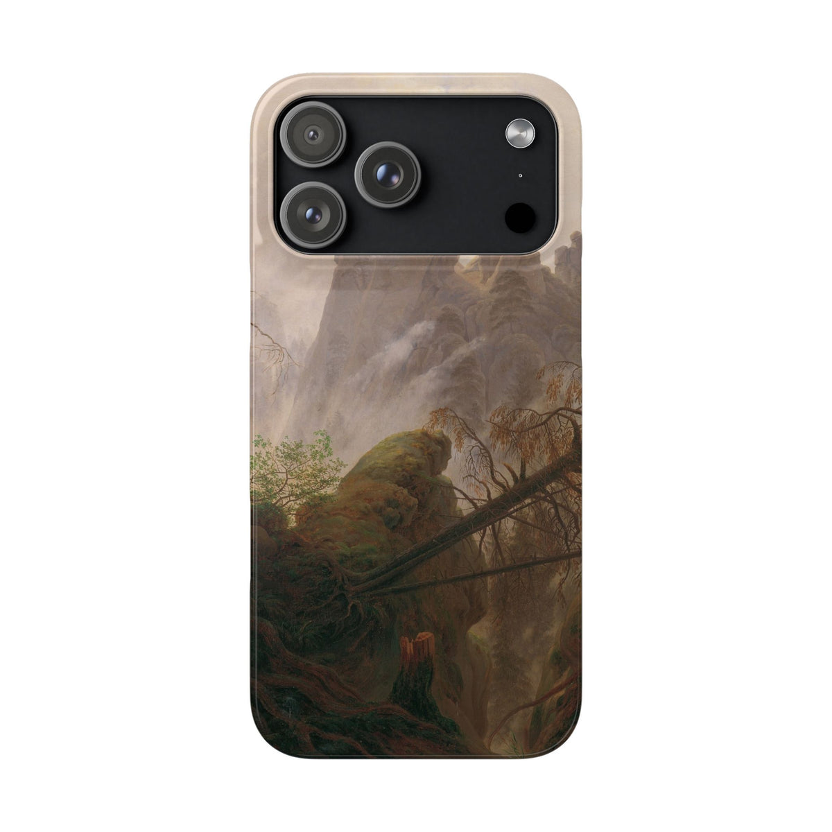 Rocky Landscape in the Elbe Sandstone Mountains by Caspar David Friedrich - iPhone Slim Case