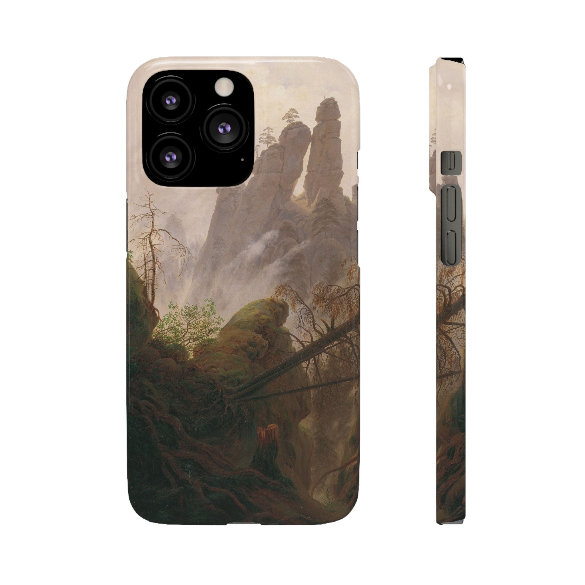 Rocky Landscape in the Elbe Sandstone Mountains by Caspar David Friedrich - iPhone Slim Case