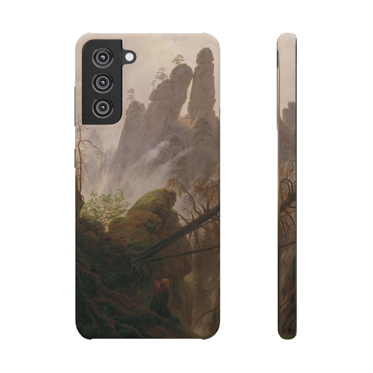Rocky Landscape in the Elbe Sandstone Mountains by Caspar David Friedrich - Samsung Slim Case