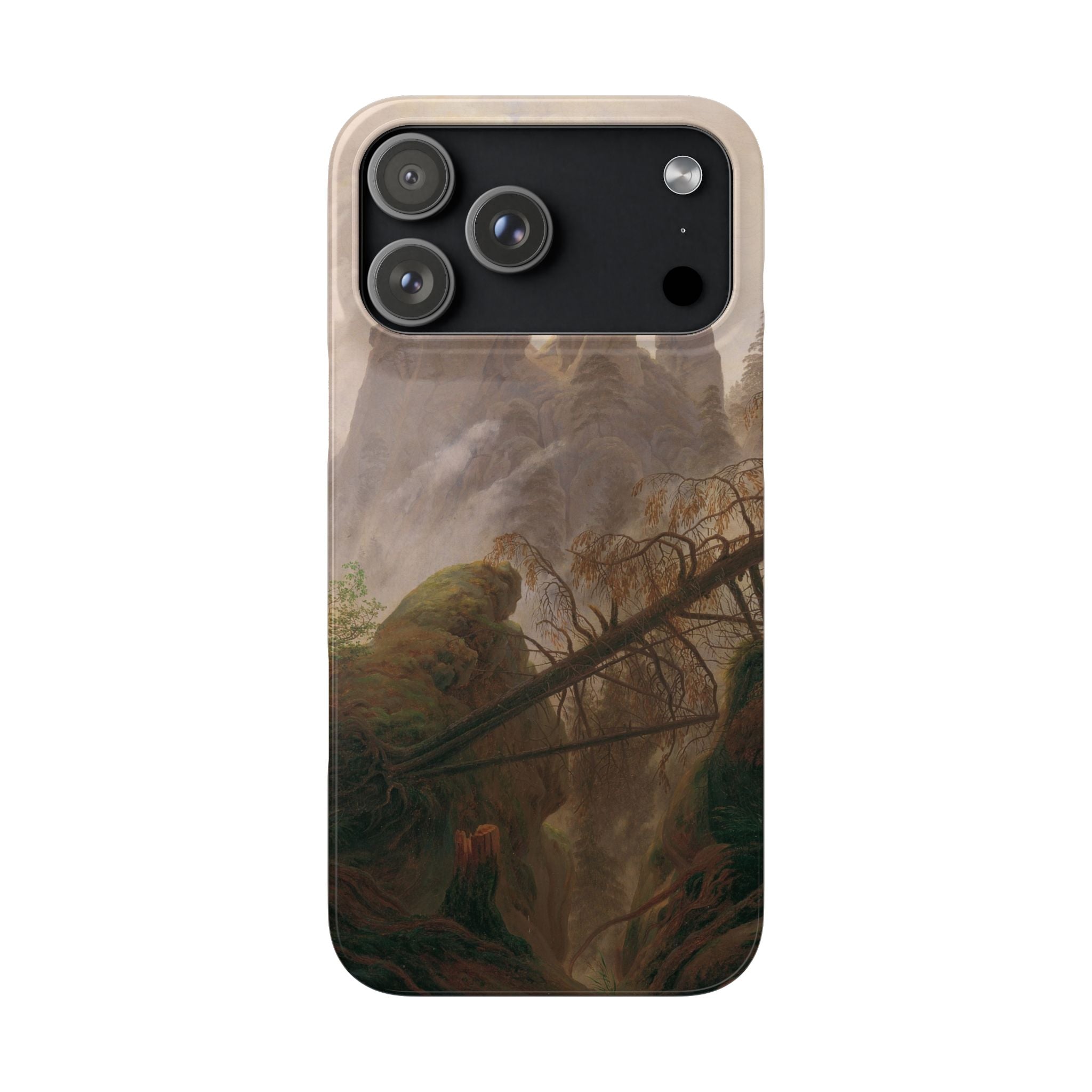 Rocky Landscape in the Elbe Sandstone Mountains by Caspar David Friedrich - iPhone Slim Case