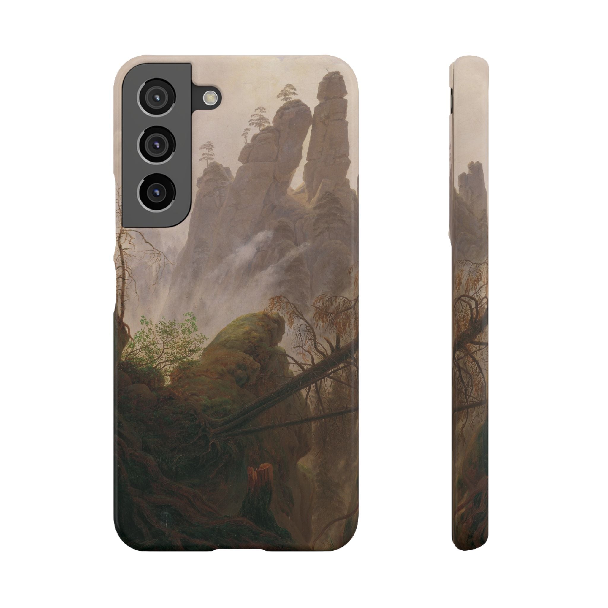 Rocky Landscape in the Elbe Sandstone Mountains by Caspar David Friedrich - Samsung Slim Case