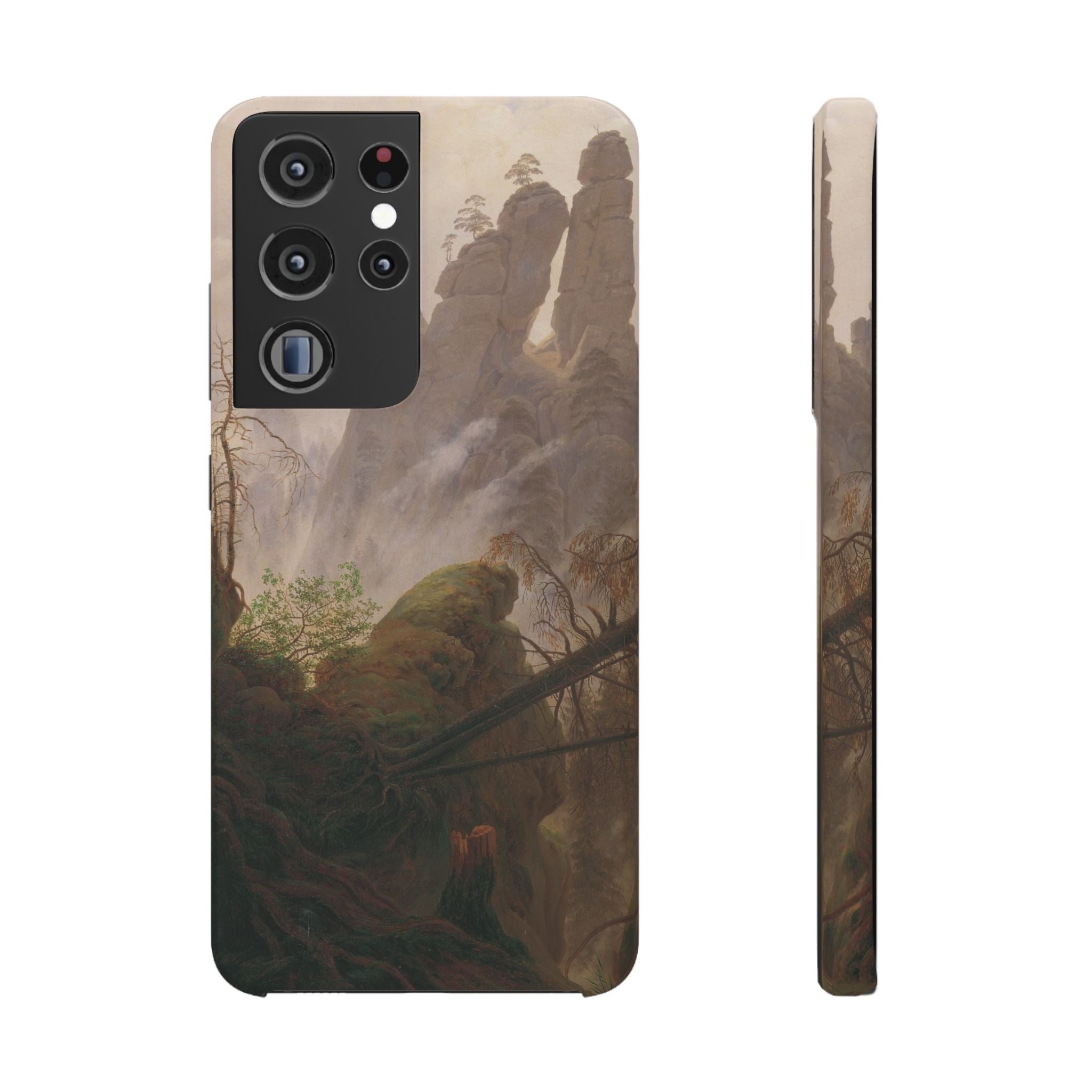 Rocky Landscape in the Elbe Sandstone Mountains by Caspar David Friedrich - Samsung Slim Case