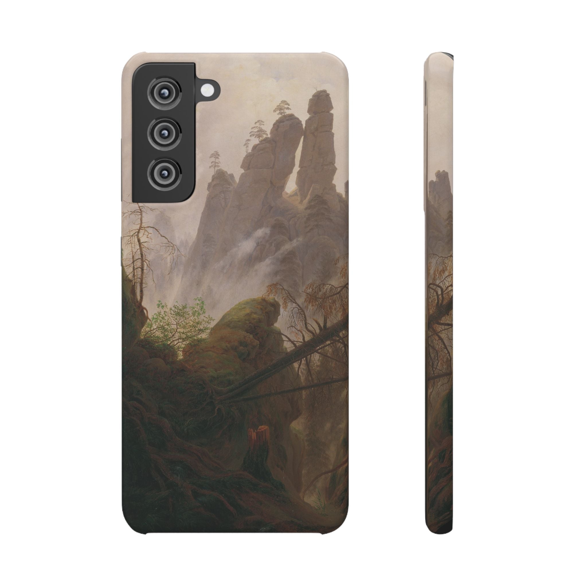 Rocky Landscape in the Elbe Sandstone Mountains by Caspar David Friedrich - Samsung Slim Case