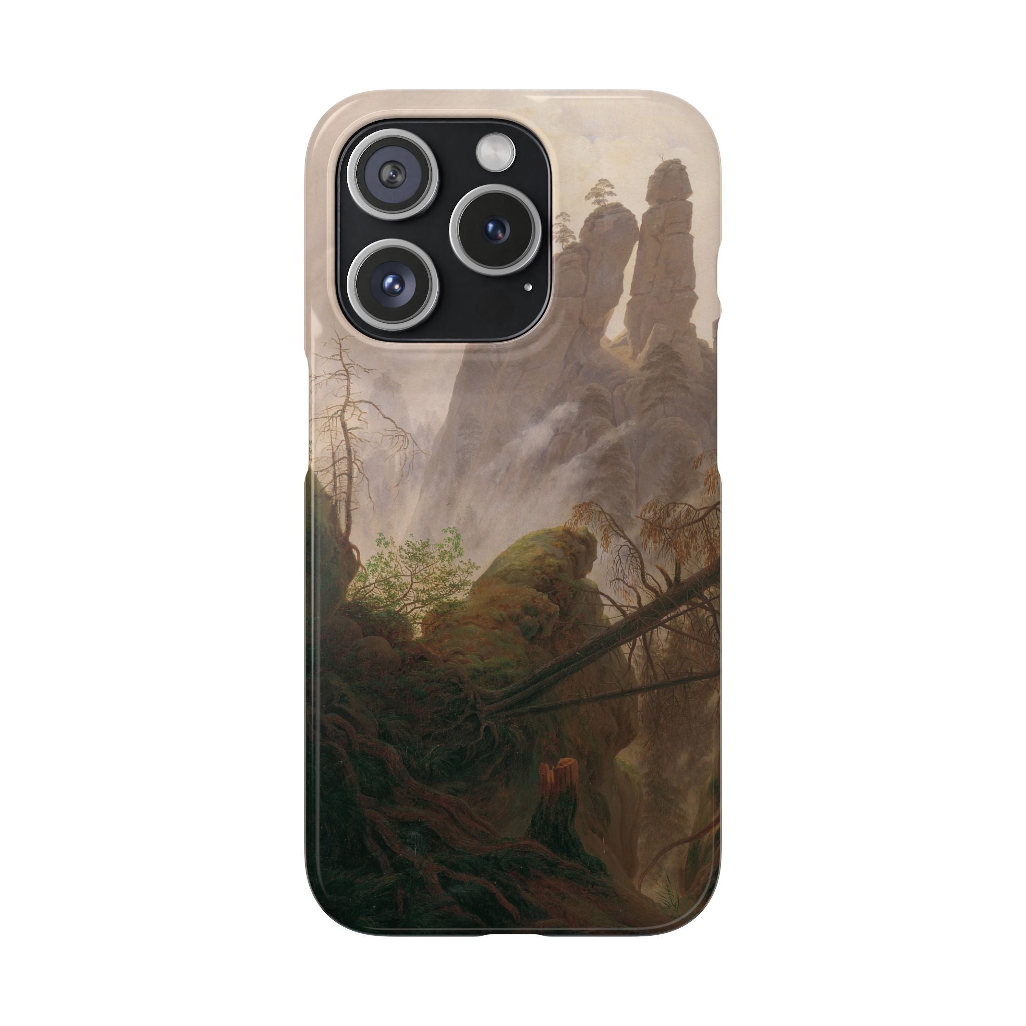 Rocky Landscape in the Elbe Sandstone Mountains by Caspar David Friedrich - iPhone Slim Case