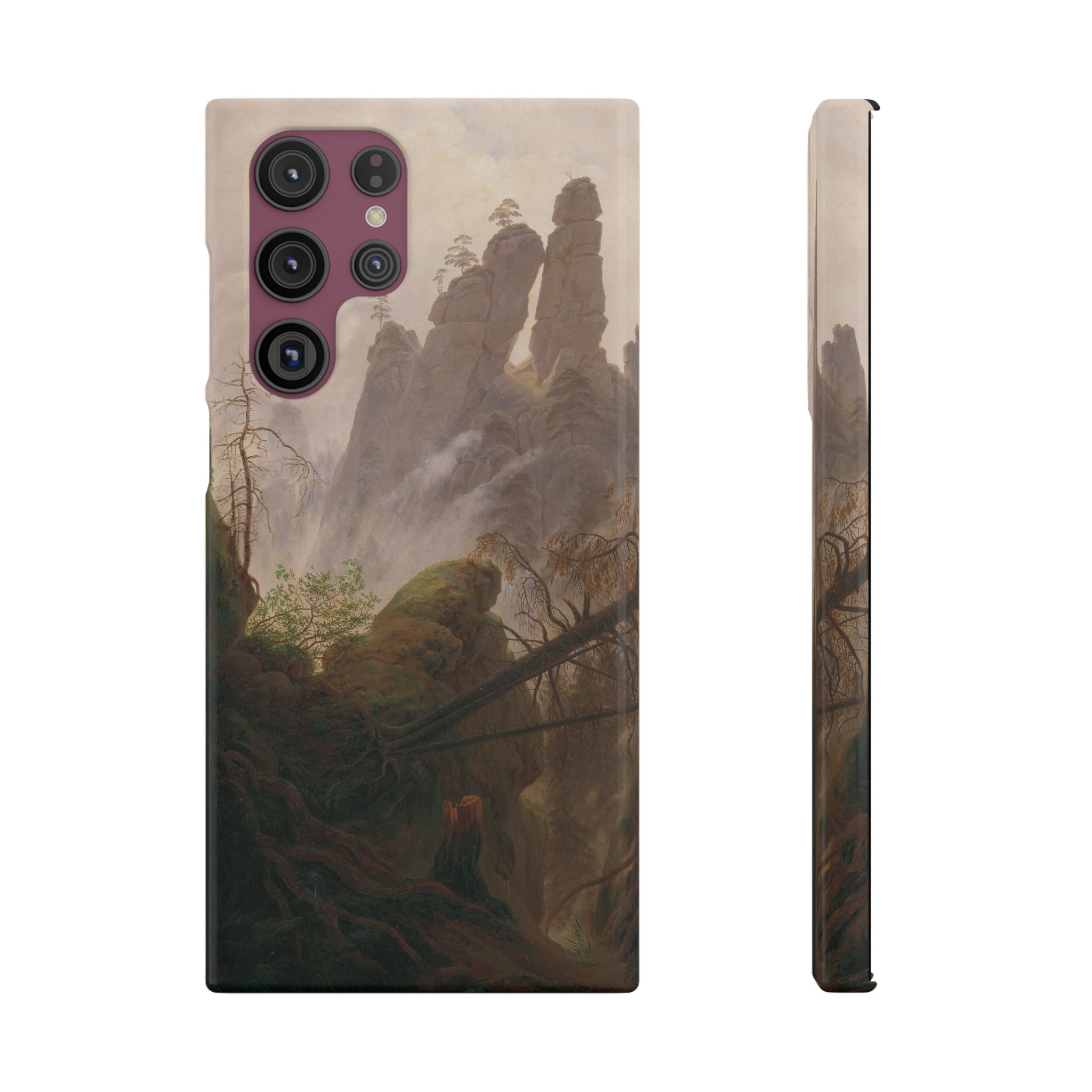 Rocky Landscape in the Elbe Sandstone Mountains by Caspar David Friedrich - Samsung Slim Case
