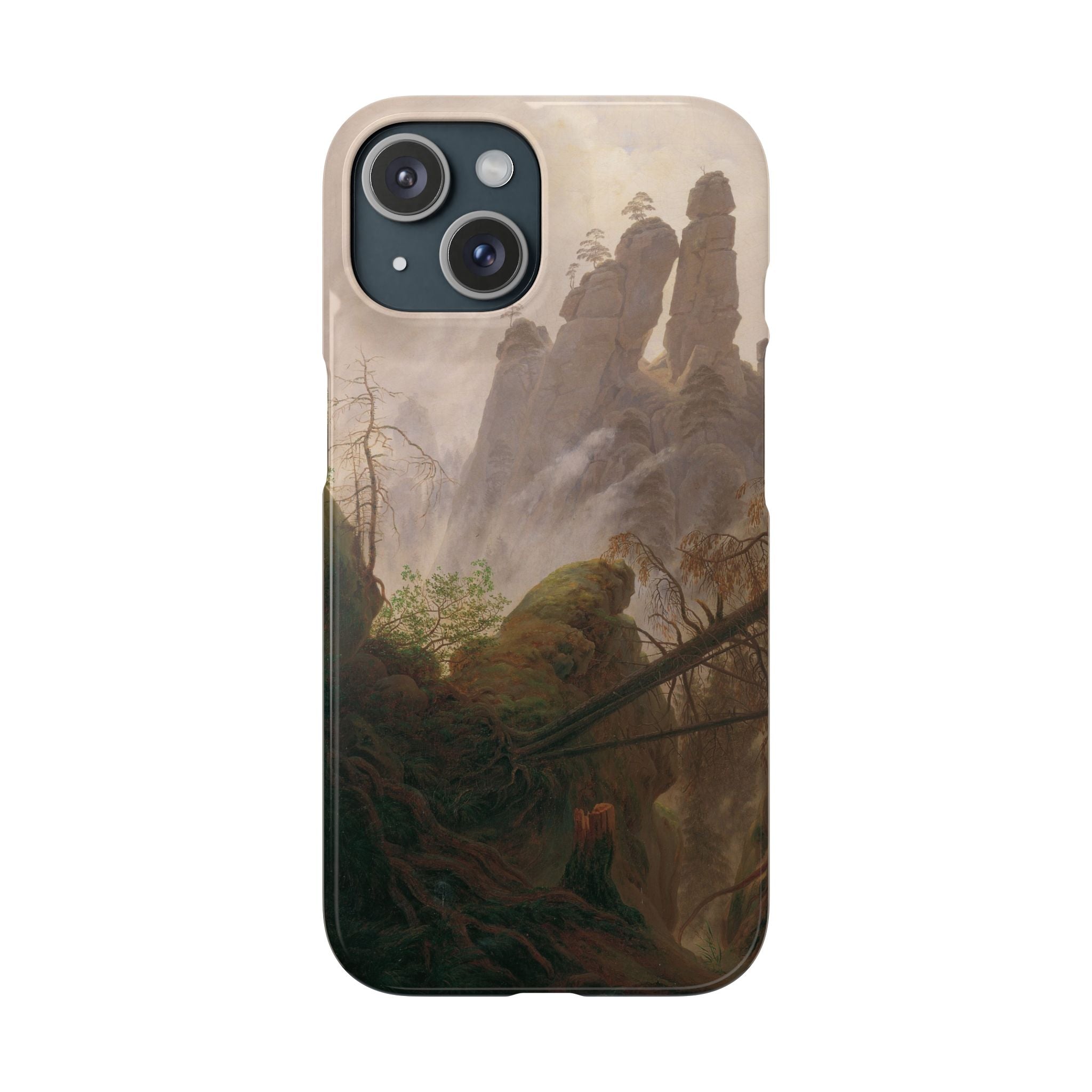 Rocky Landscape in the Elbe Sandstone Mountains by Caspar David Friedrich - iPhone Slim Case