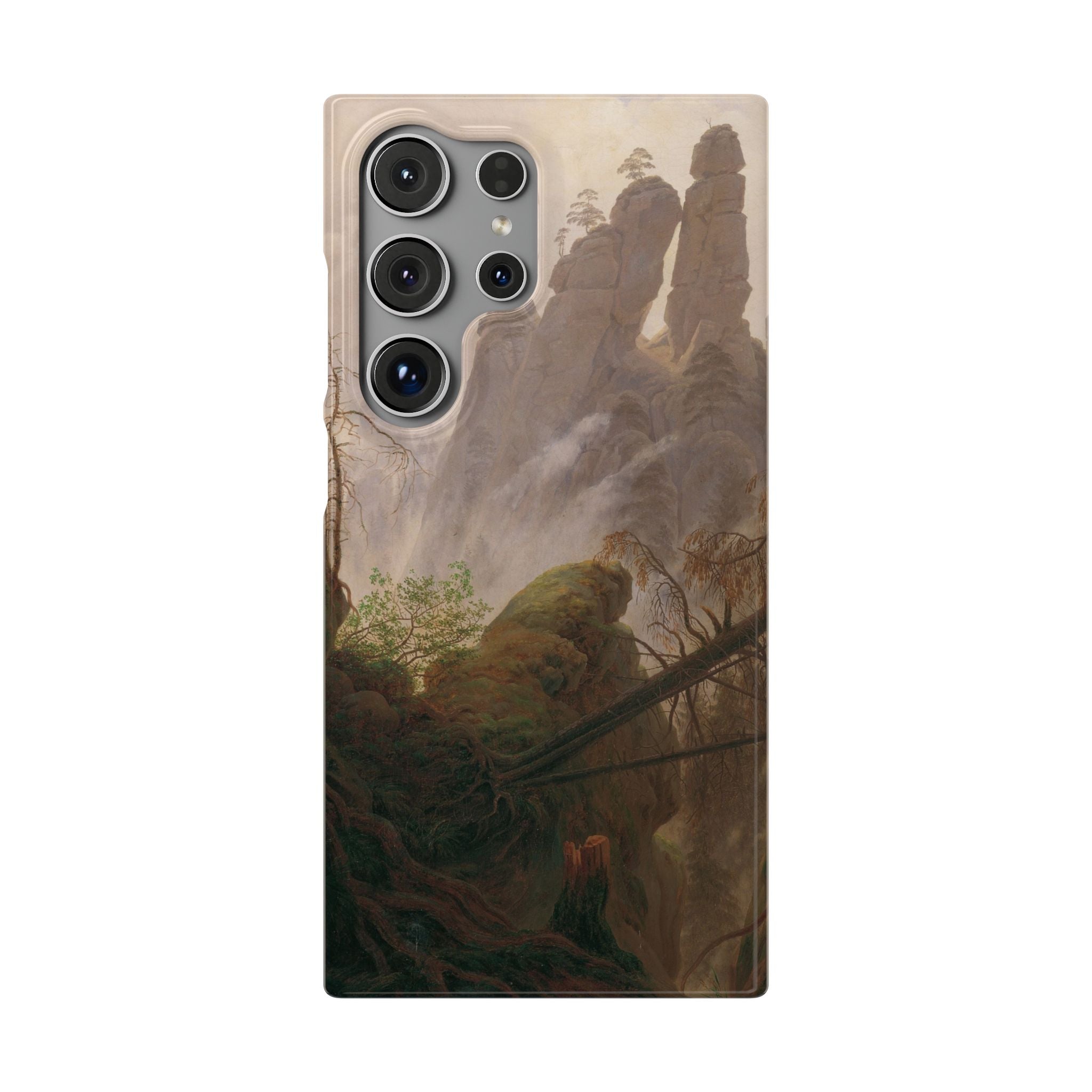 Rocky Landscape in the Elbe Sandstone Mountains by Caspar David Friedrich - Samsung Slim Case