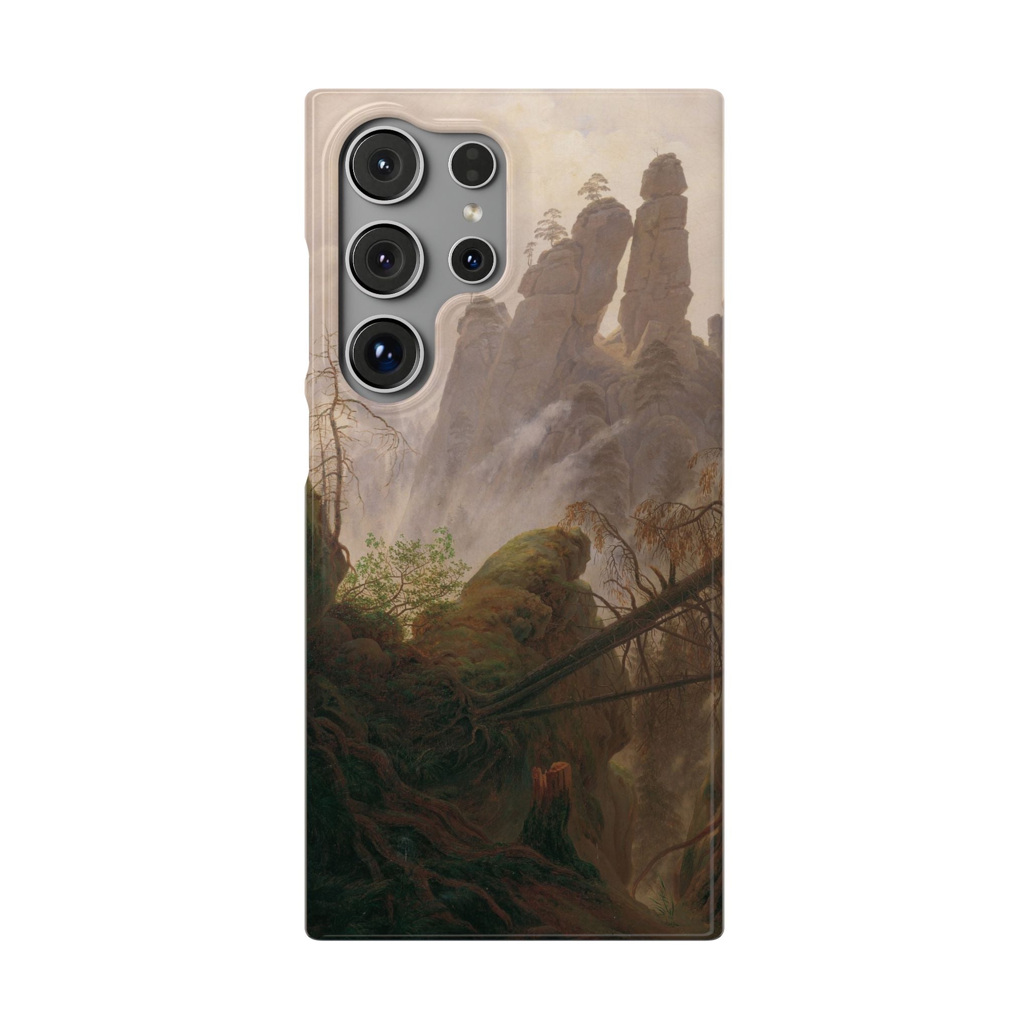 Rocky Landscape in the Elbe Sandstone Mountains by Caspar David Friedrich - Samsung Slim Case