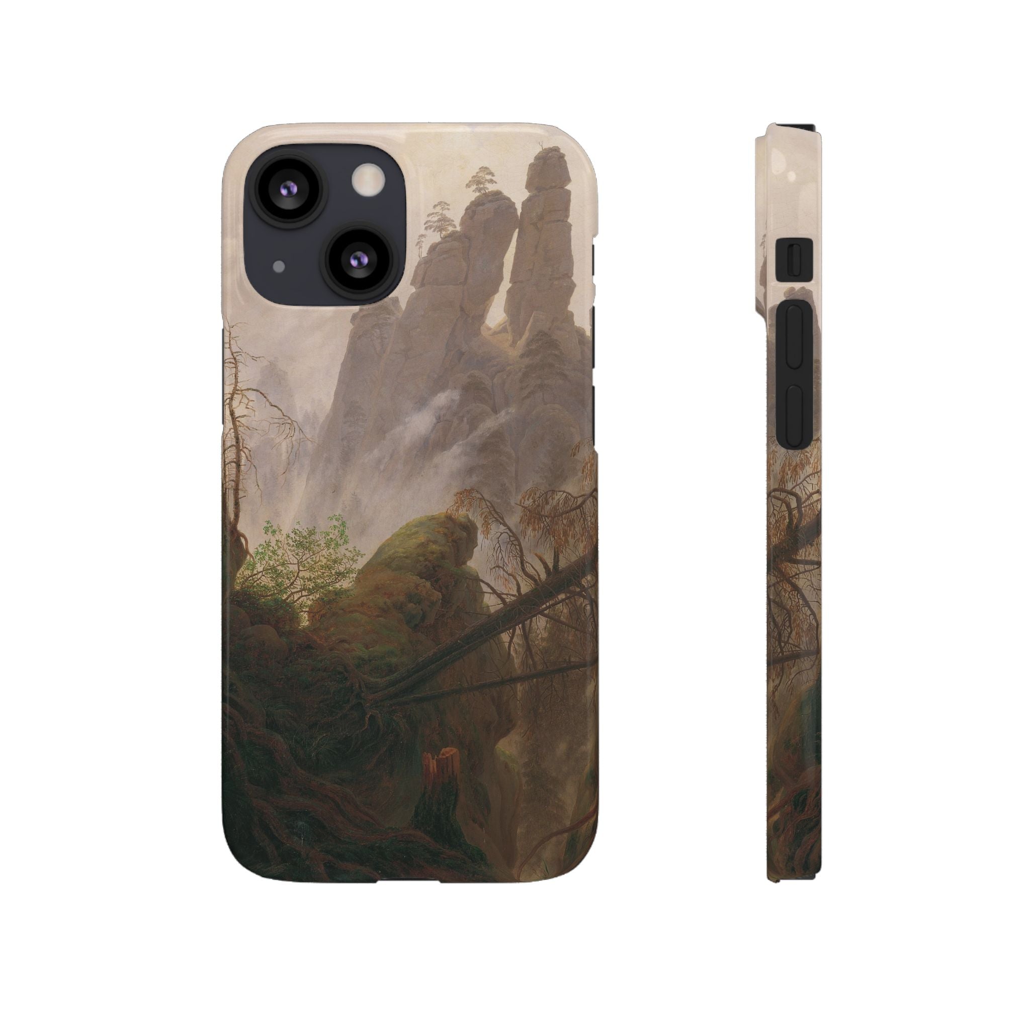 Rocky Landscape in the Elbe Sandstone Mountains by Caspar David Friedrich - iPhone Slim Case