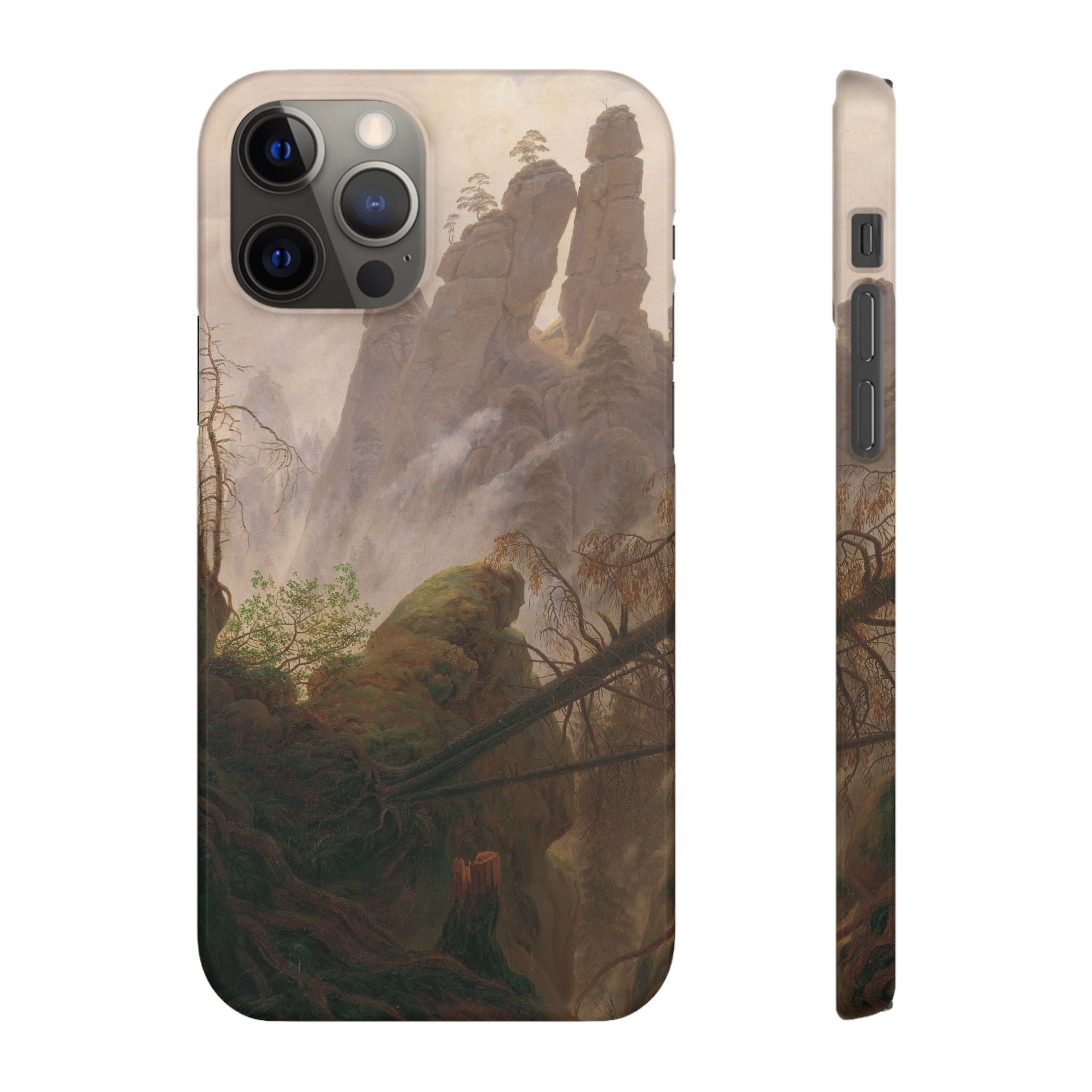 Rocky Landscape in the Elbe Sandstone Mountains by Caspar David Friedrich - iPhone Slim Case