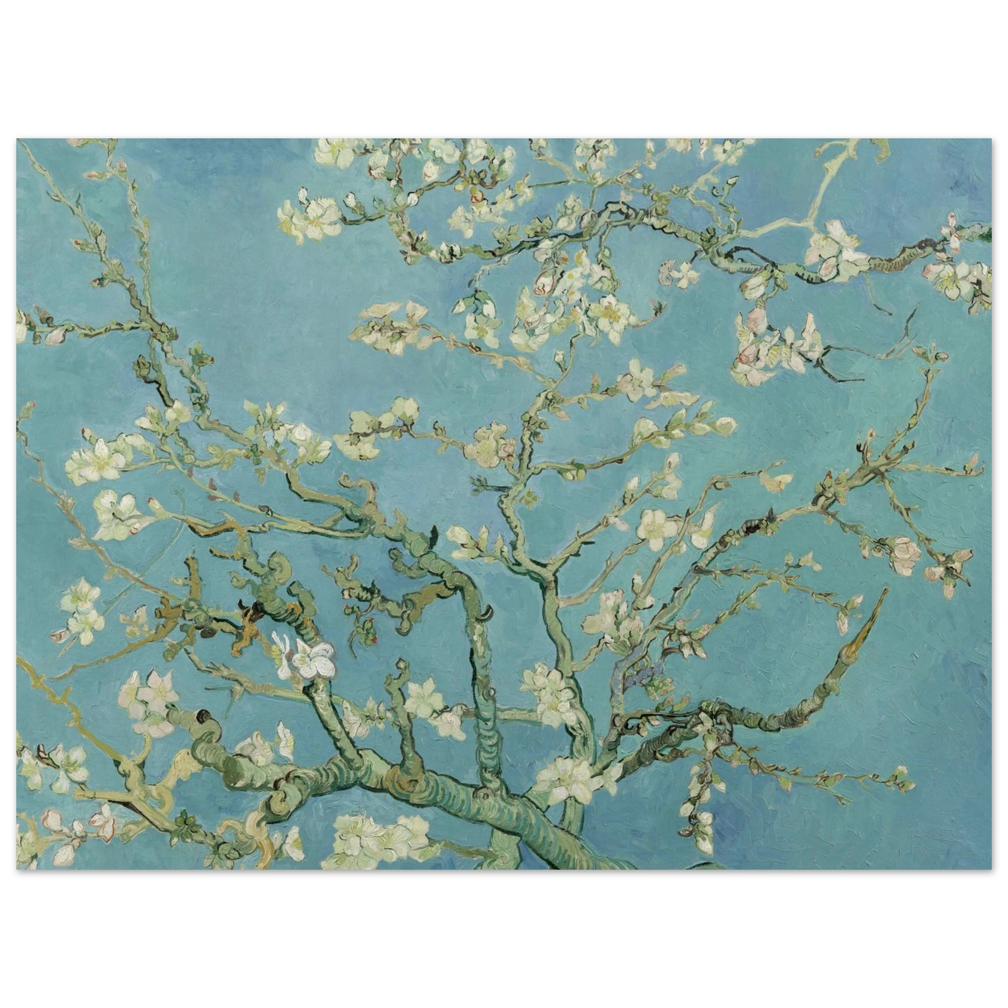 5e12542d-2500-497e-9337-2c7d52653428