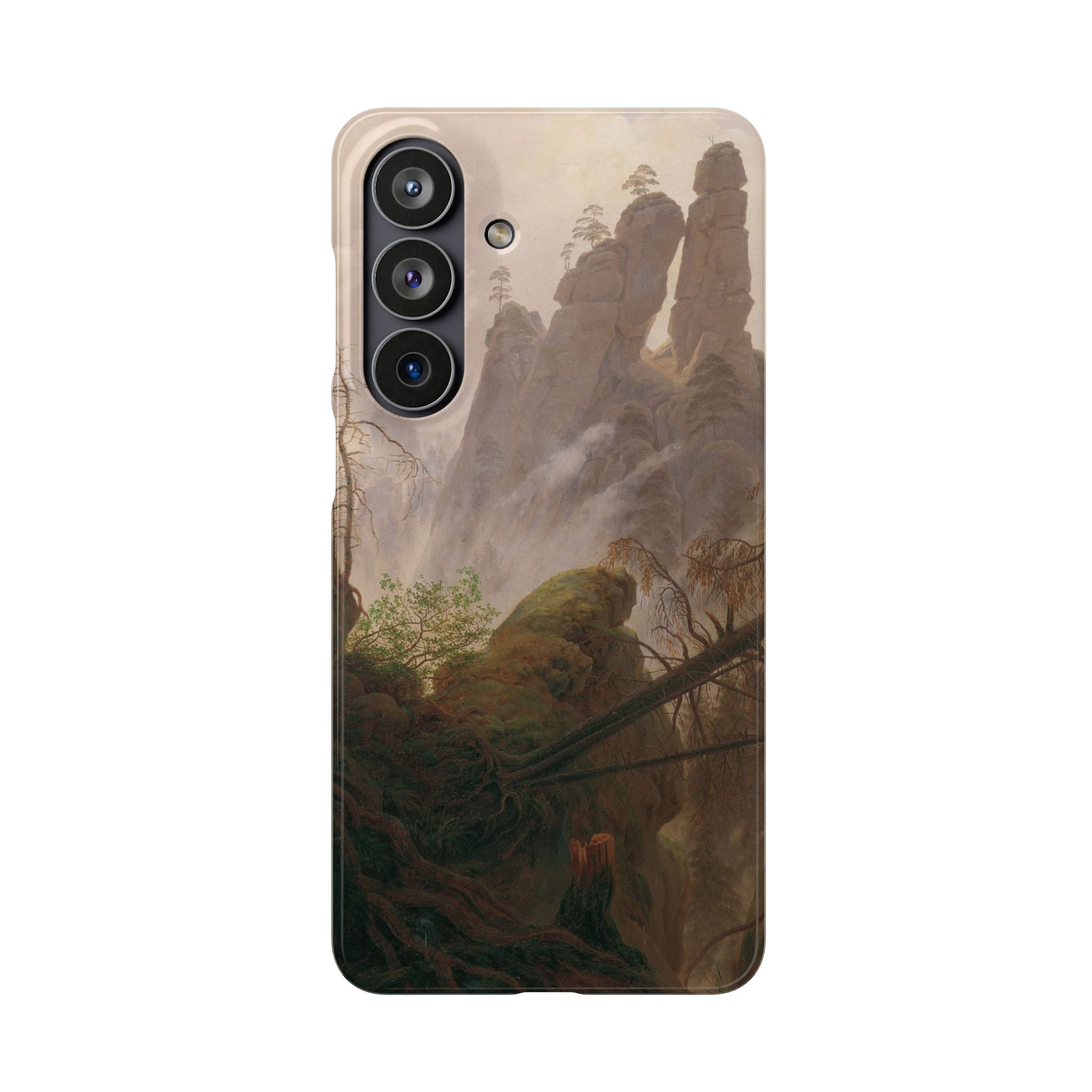 Rocky Landscape in the Elbe Sandstone Mountains by Caspar David Friedrich - Samsung Slim Case