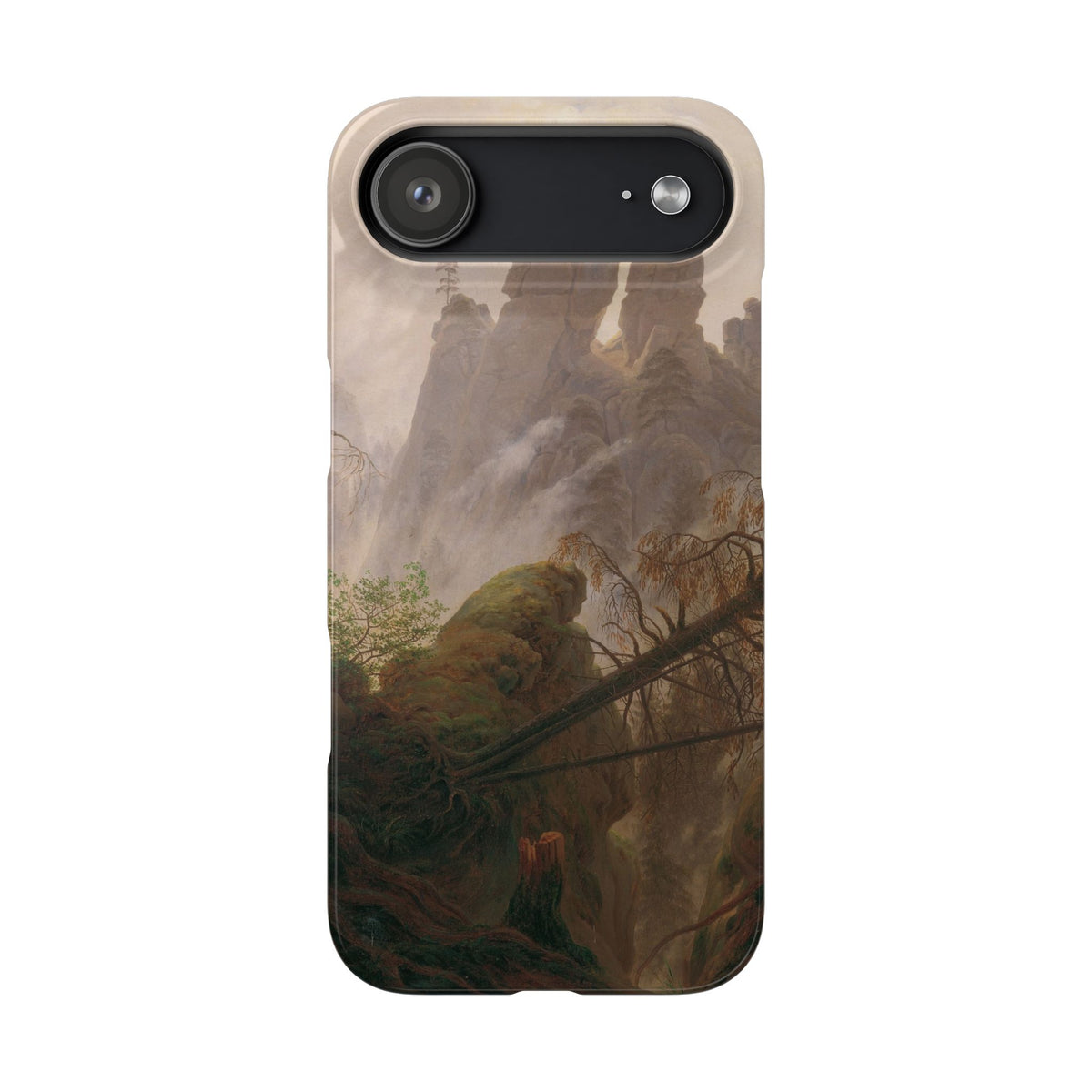 Rocky Landscape in the Elbe Sandstone Mountains by Caspar David Friedrich - iPhone Slim Case