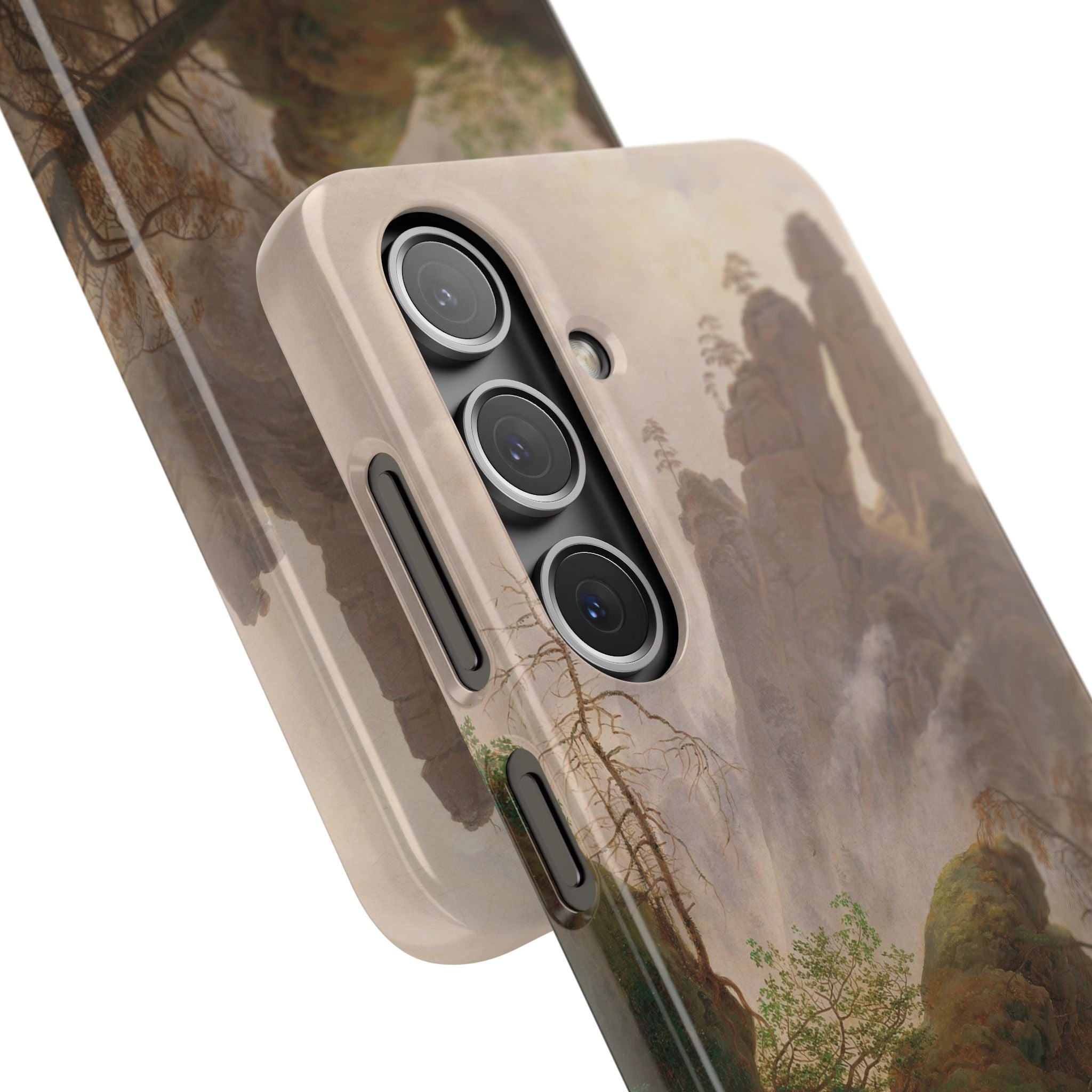 Rocky Landscape in the Elbe Sandstone Mountains by Caspar David Friedrich - Samsung Slim Case
