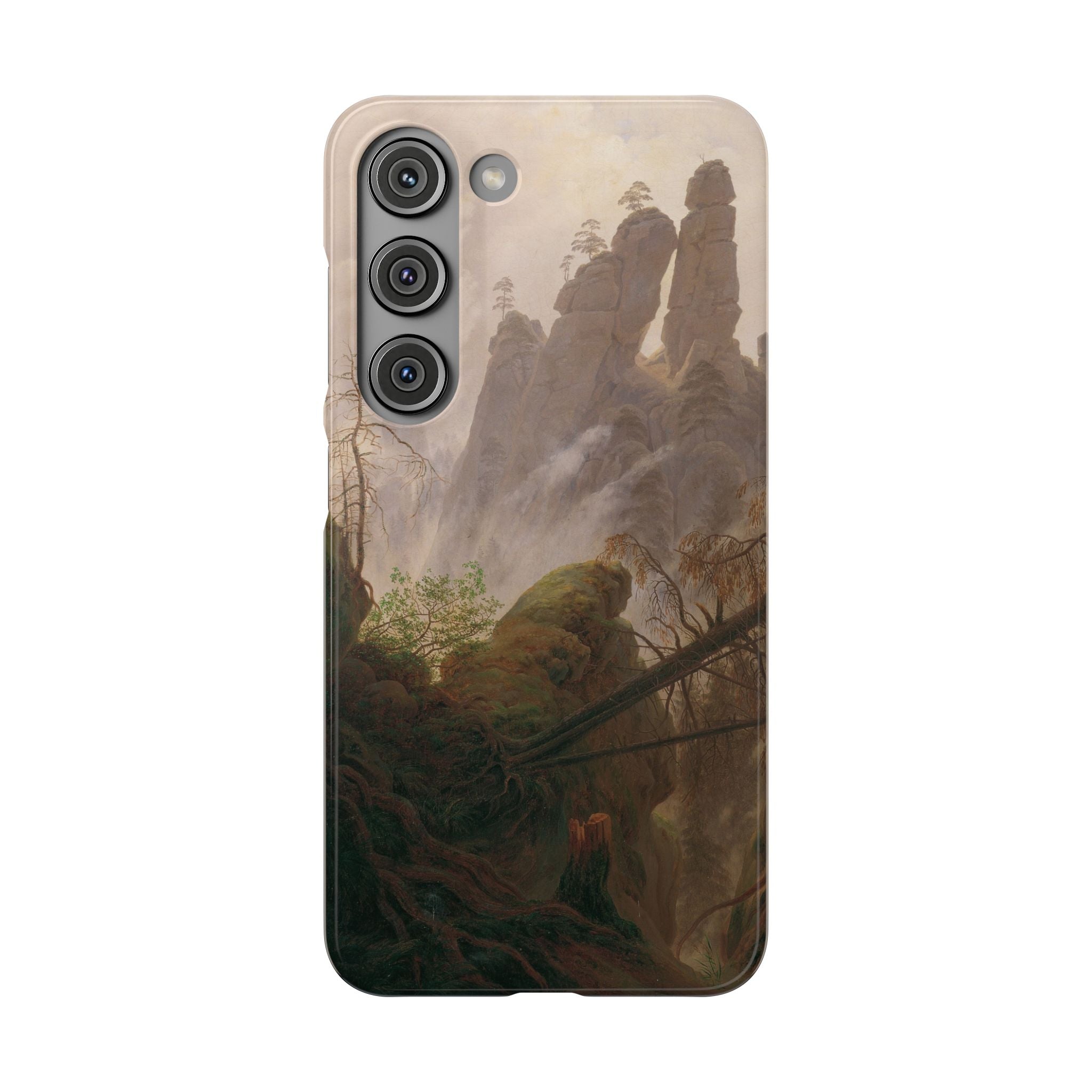 Rocky Landscape in the Elbe Sandstone Mountains by Caspar David Friedrich - Samsung Slim Case