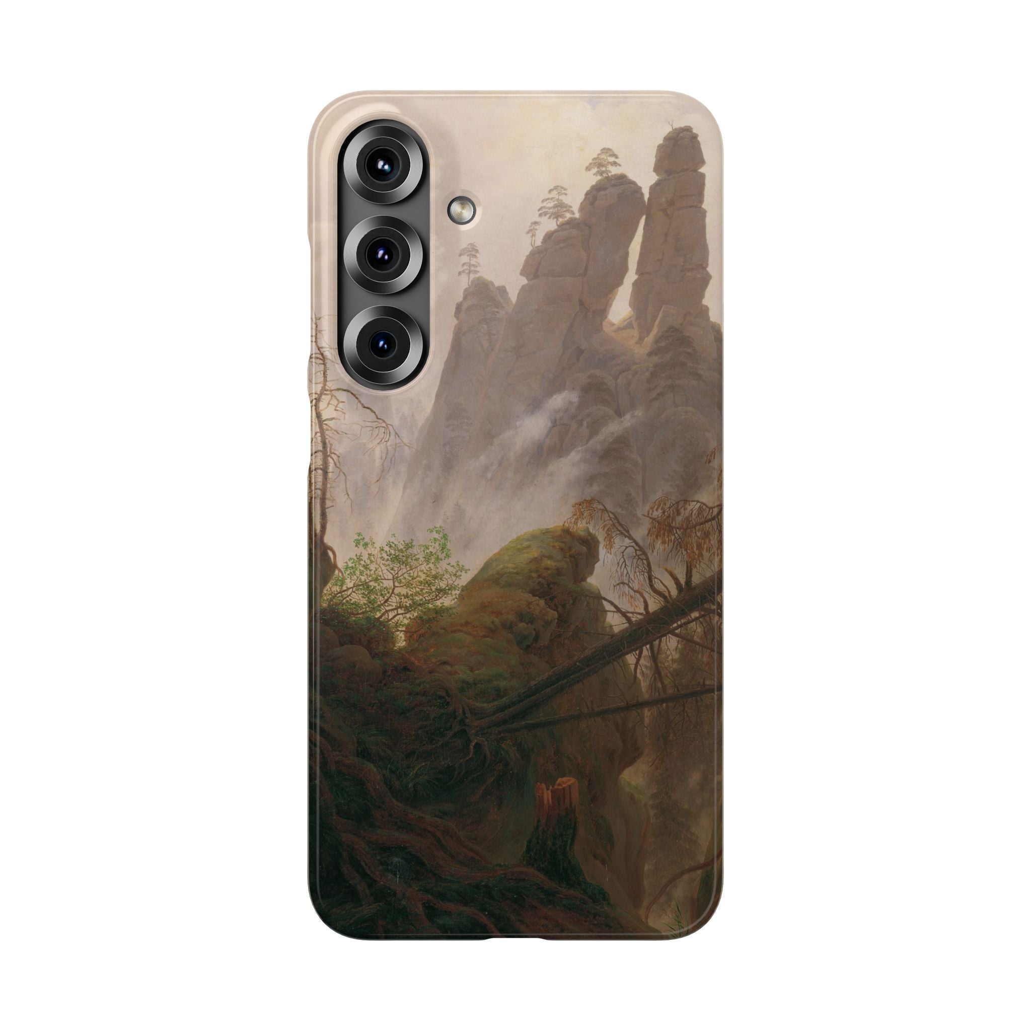Rocky Landscape in the Elbe Sandstone Mountains by Caspar David Friedrich - Samsung Slim Case