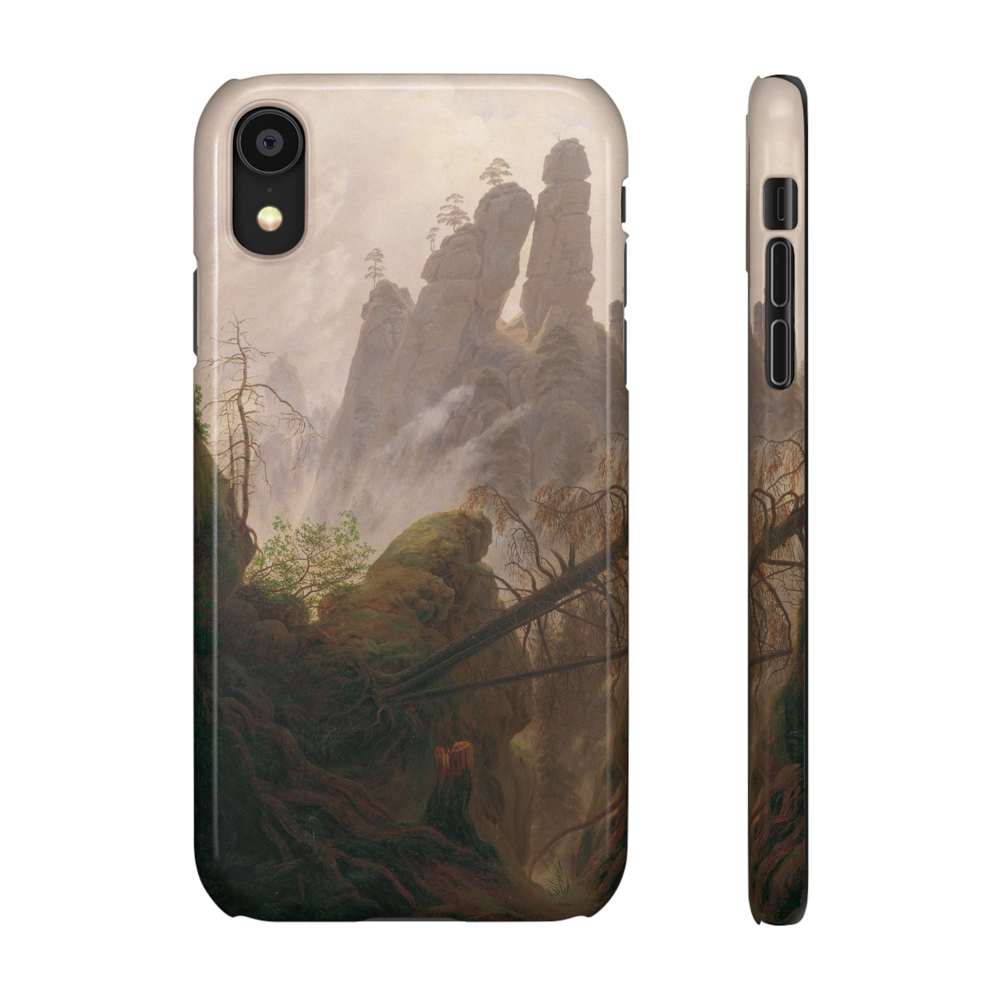 Rocky Landscape in the Elbe Sandstone Mountains by Caspar David Friedrich - iPhone Slim Case