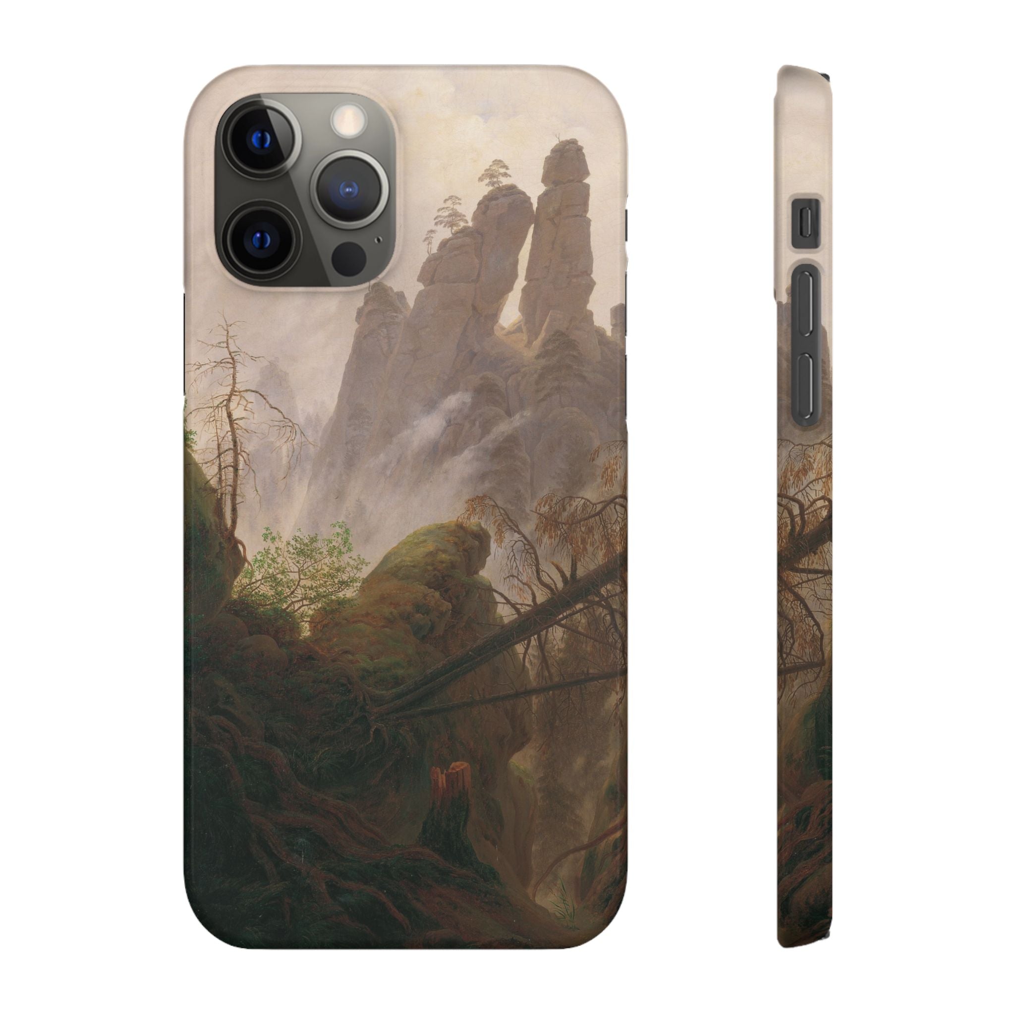 Rocky Landscape in the Elbe Sandstone Mountains by Caspar David Friedrich - iPhone Slim Case