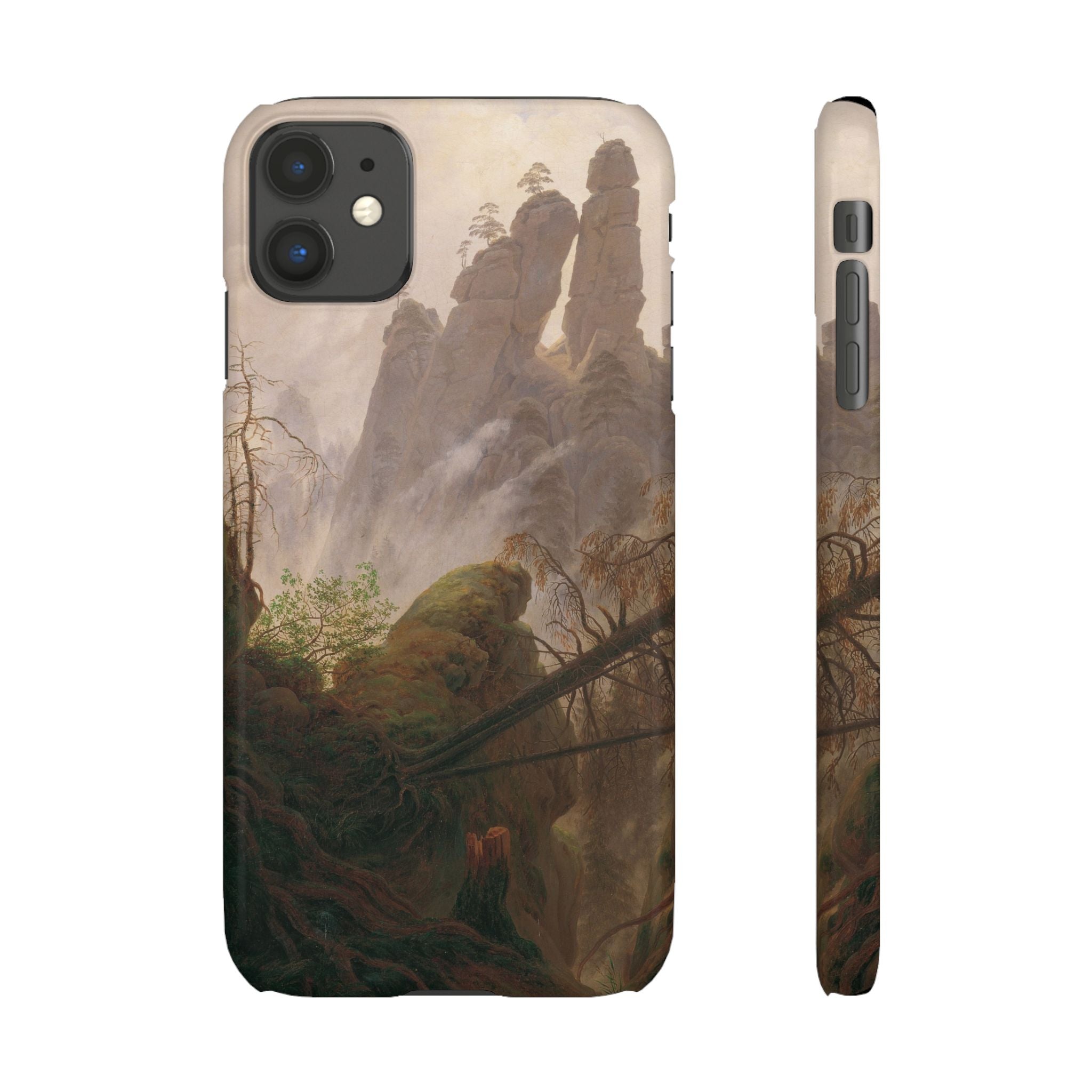 Rocky Landscape in the Elbe Sandstone Mountains by Caspar David Friedrich - iPhone Slim Case