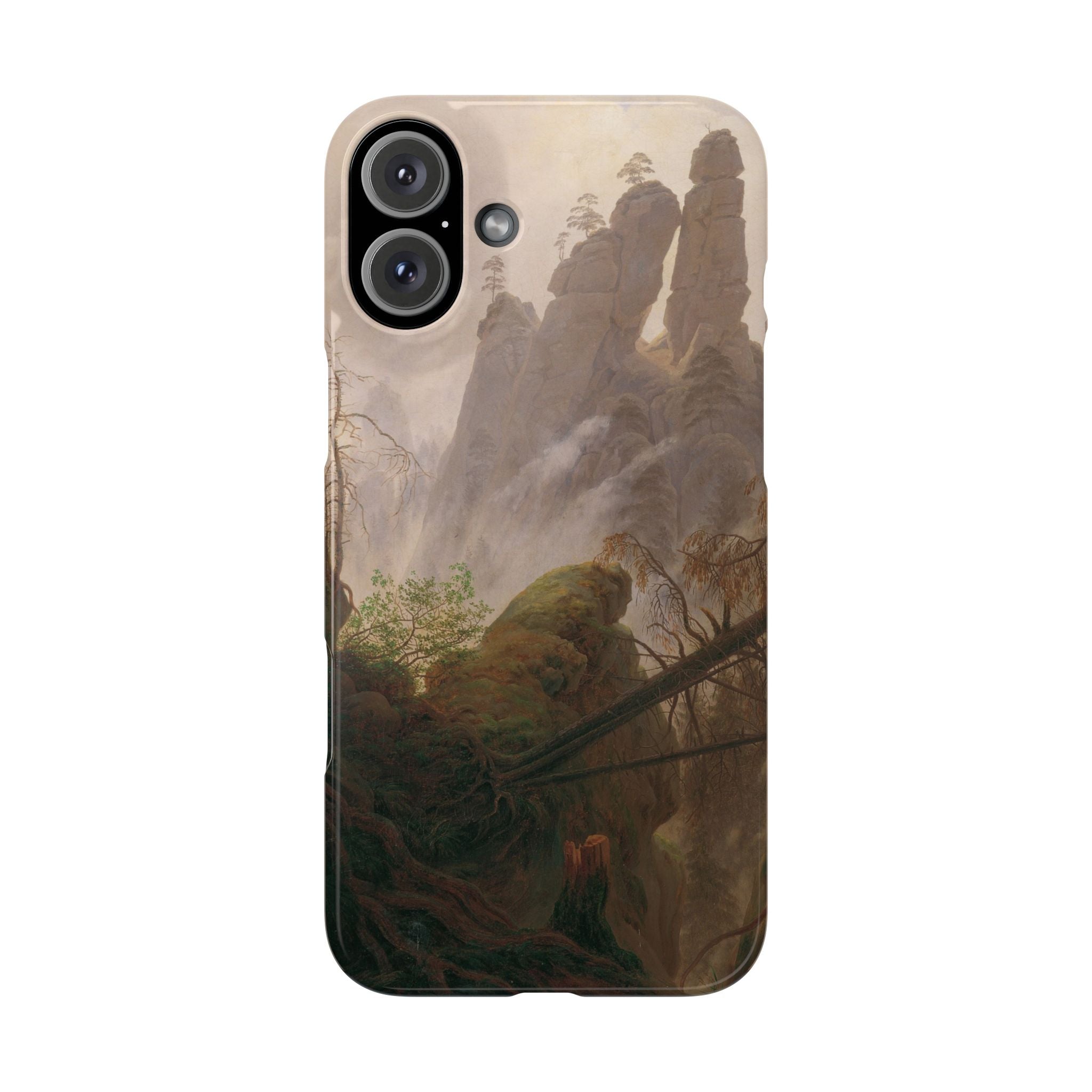 Rocky Landscape in the Elbe Sandstone Mountains by Caspar David Friedrich - iPhone Slim Case