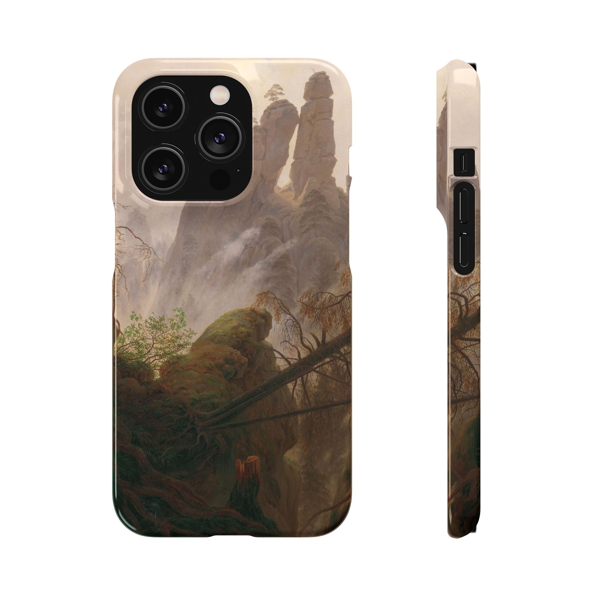 Rocky Landscape in the Elbe Sandstone Mountains by Caspar David Friedrich - iPhone Slim Case