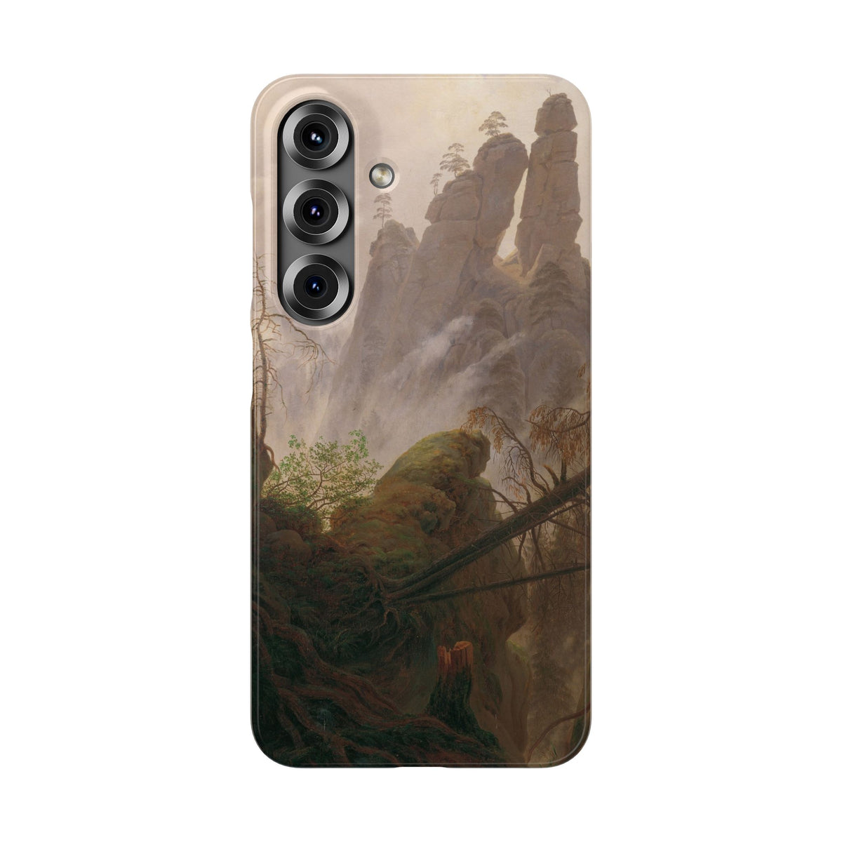 Rocky Landscape in the Elbe Sandstone Mountains by Caspar David Friedrich - Samsung Slim Case