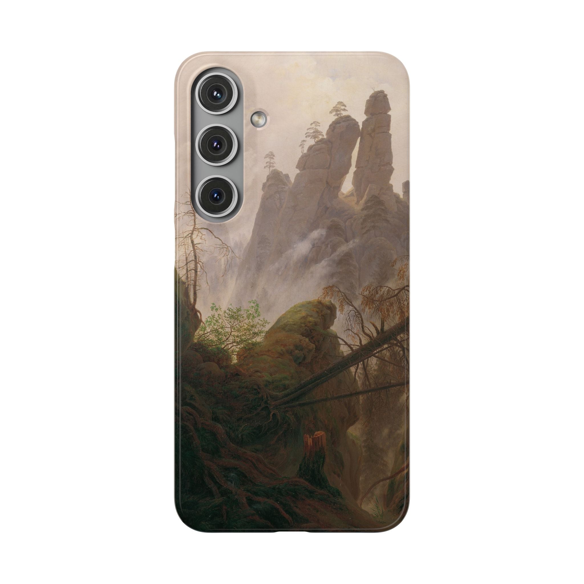 Rocky Landscape in the Elbe Sandstone Mountains by Caspar David Friedrich - Samsung Slim Case