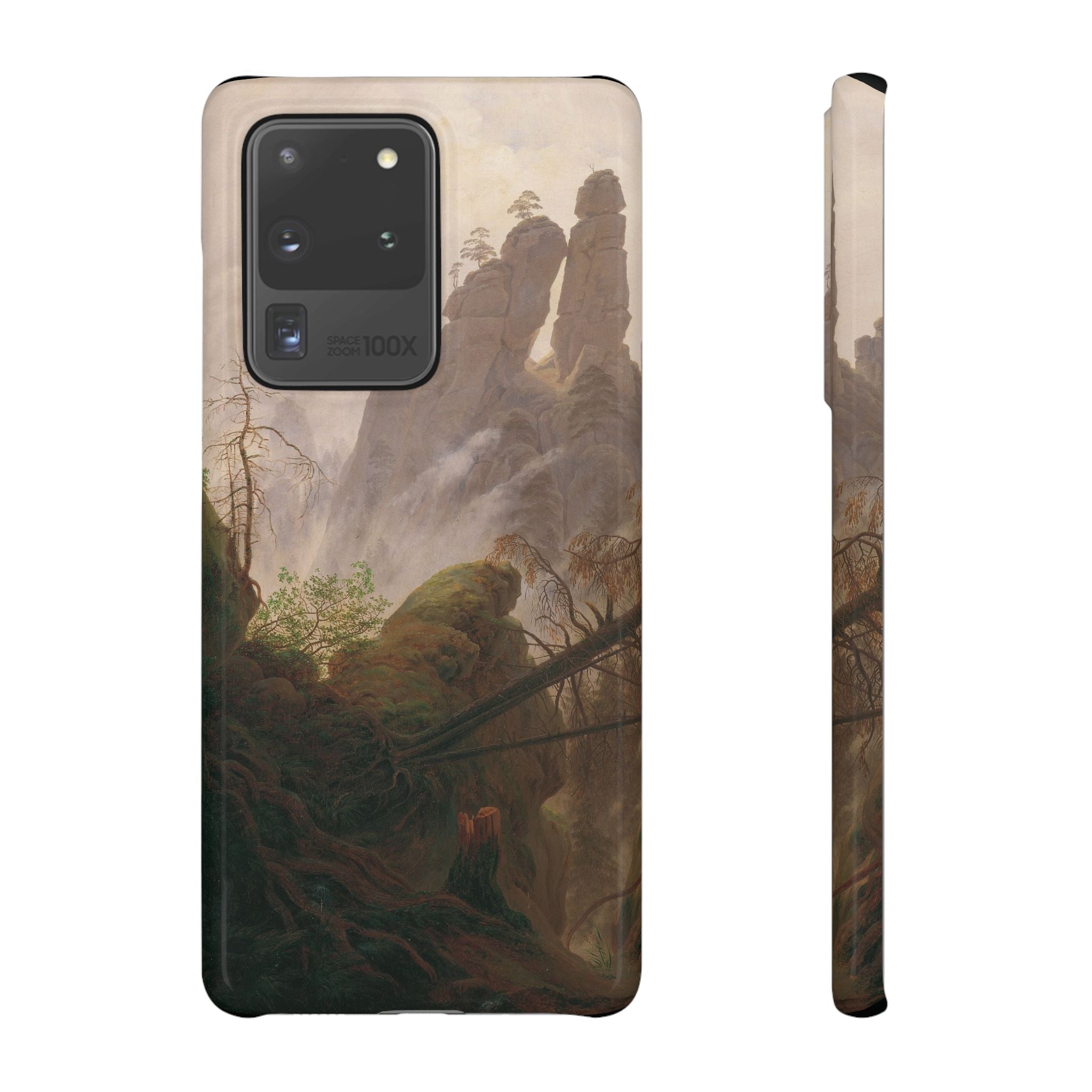Rocky Landscape in the Elbe Sandstone Mountains by Caspar David Friedrich - Samsung Slim Case