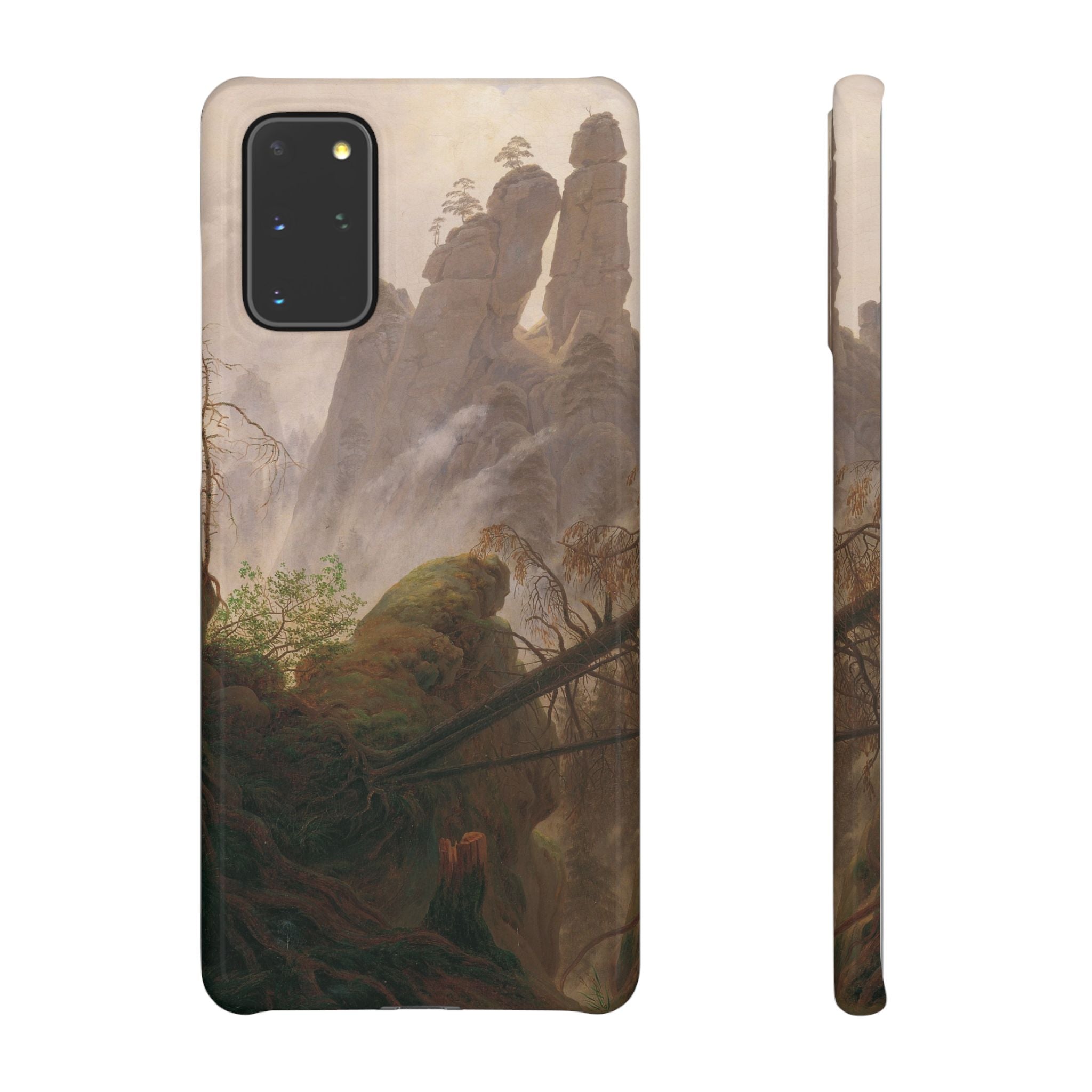 Rocky Landscape in the Elbe Sandstone Mountains by Caspar David Friedrich - Samsung Slim Case