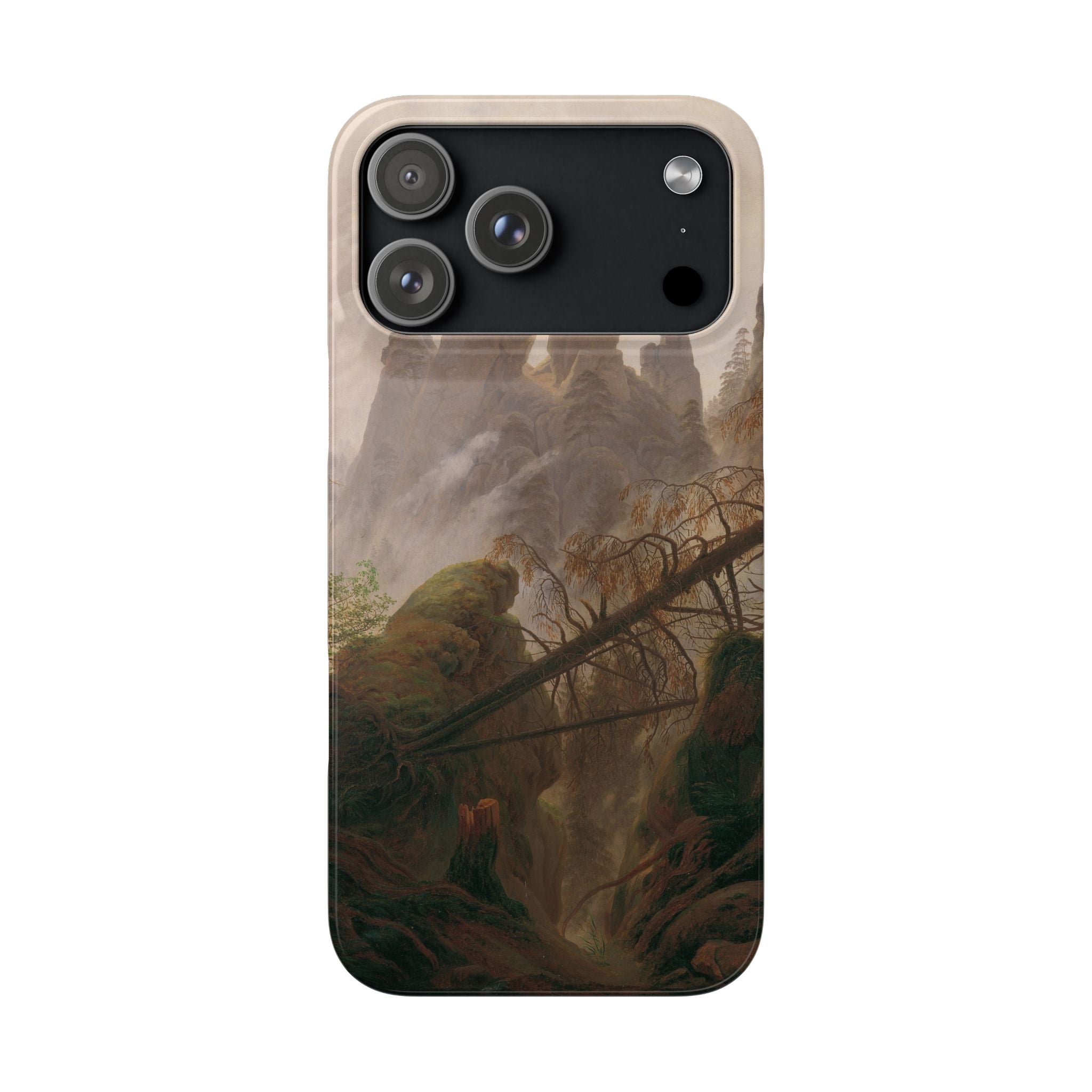 Rocky Landscape in the Elbe Sandstone Mountains by Caspar David Friedrich - iPhone Slim Case