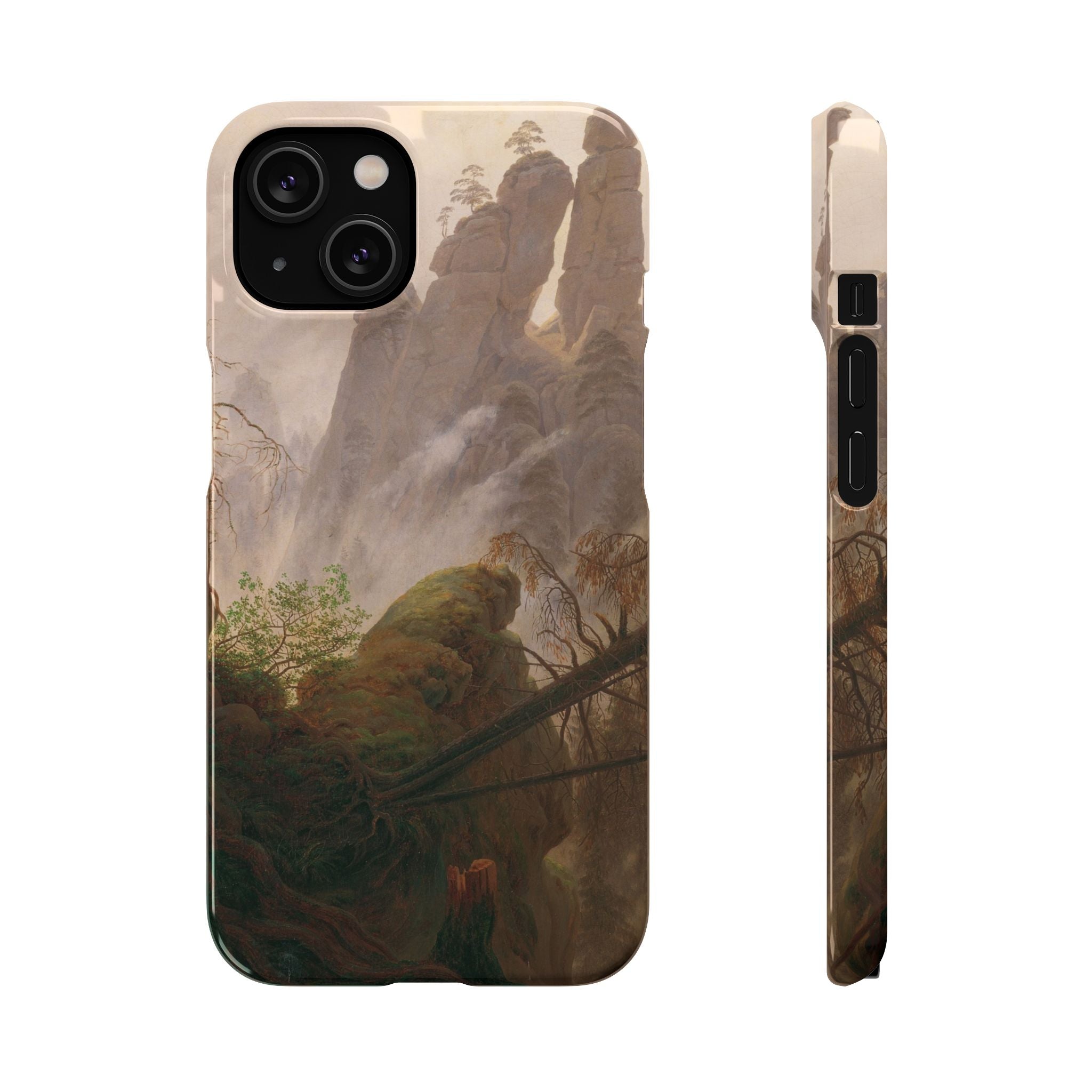 Rocky Landscape in the Elbe Sandstone Mountains by Caspar David Friedrich - iPhone Slim Case