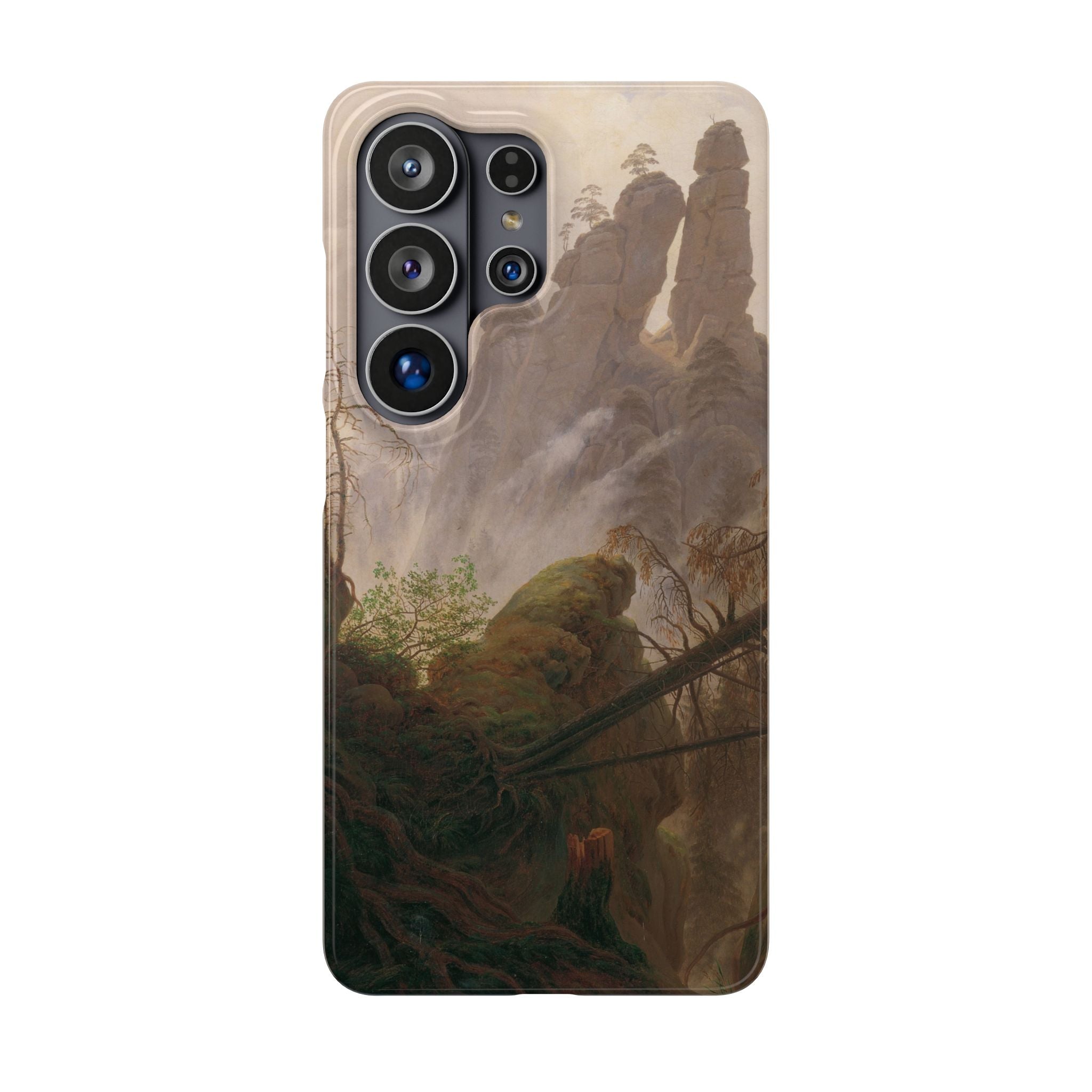 Rocky Landscape in the Elbe Sandstone Mountains by Caspar David Friedrich - Samsung Slim Case