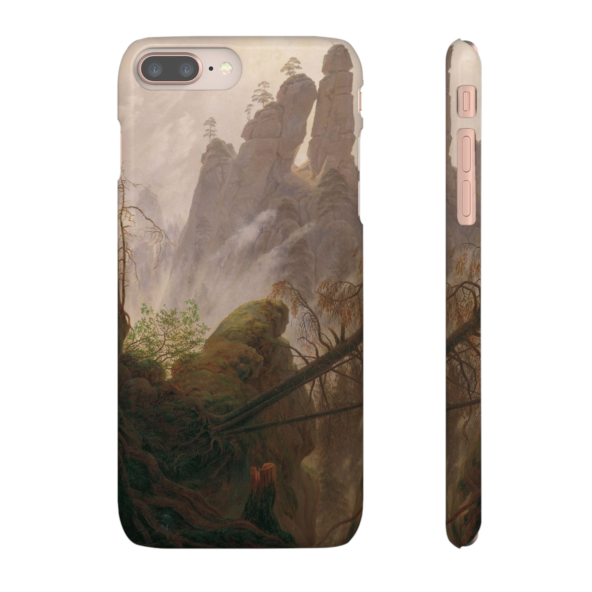 Rocky Landscape in the Elbe Sandstone Mountains by Caspar David Friedrich - iPhone Slim Case