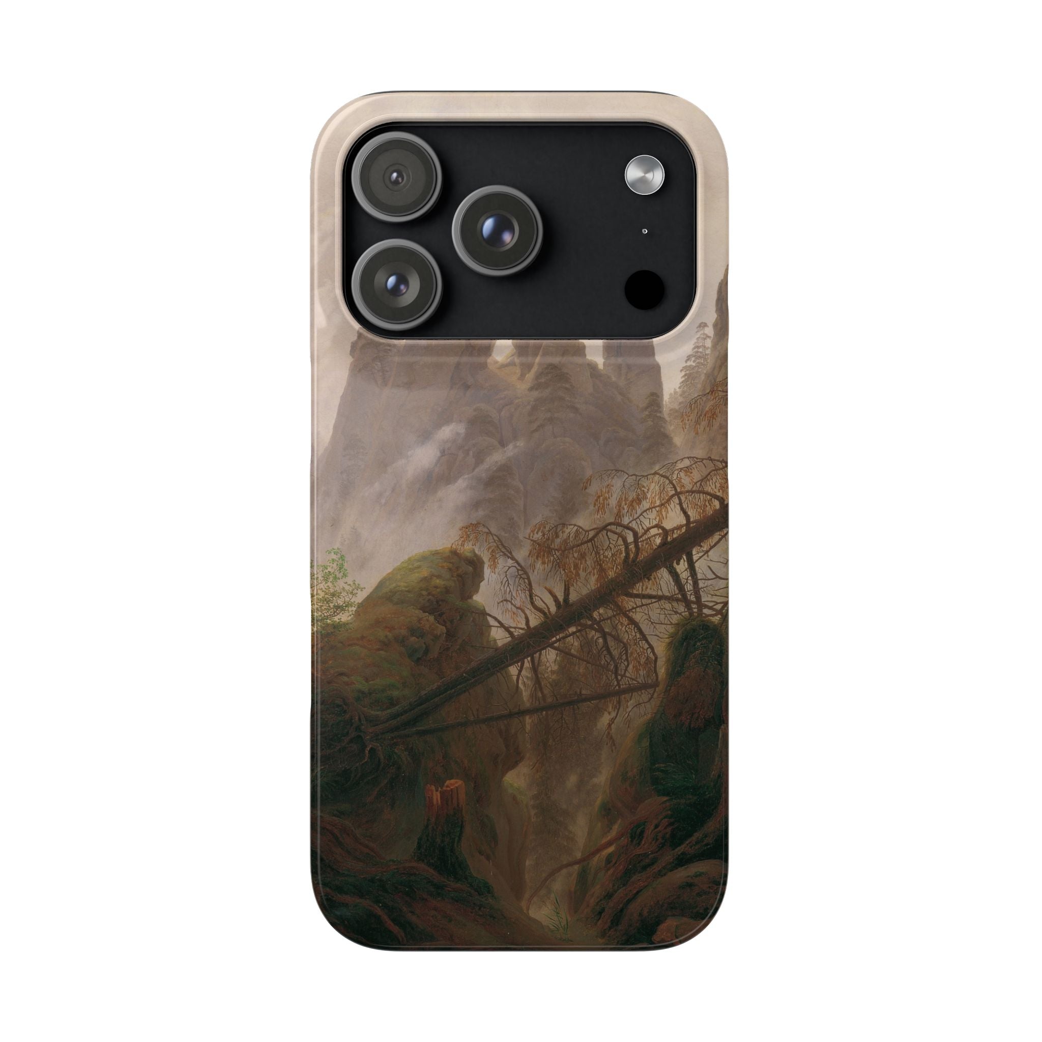 Rocky Landscape in the Elbe Sandstone Mountains by Caspar David Friedrich - iPhone Slim Case