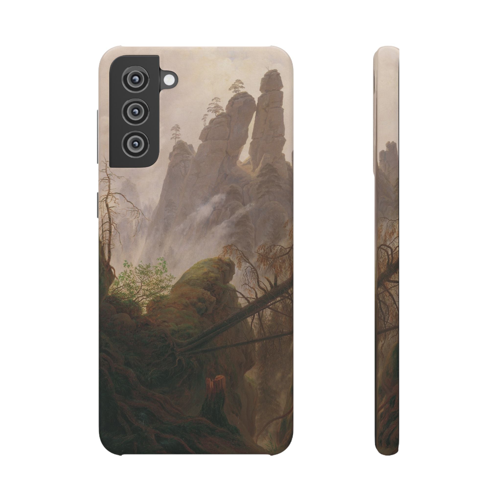 Rocky Landscape in the Elbe Sandstone Mountains by Caspar David Friedrich - Samsung Slim Case